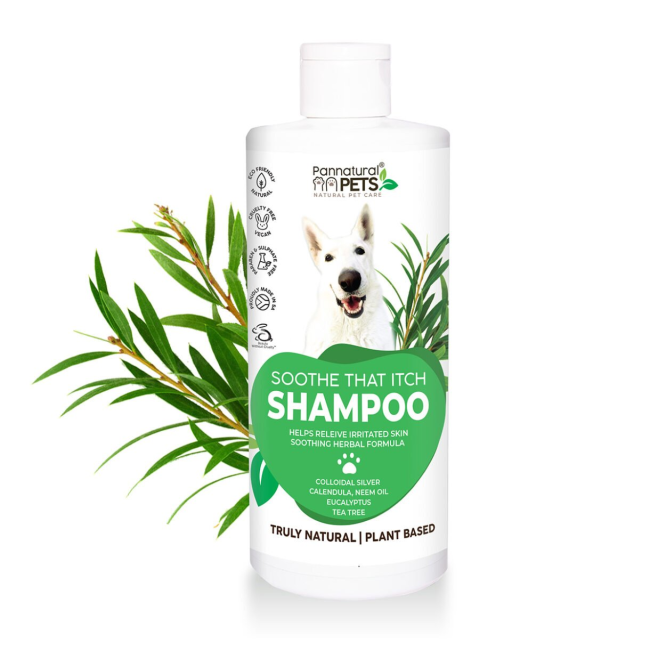 Pannatural Soothe that Itch Shampoo