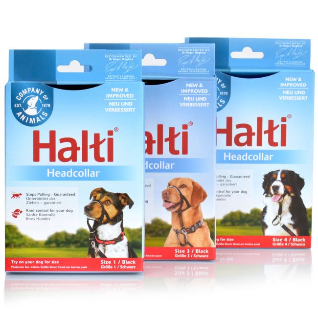 Buy Halti Padded Headcollar for Dogs Online ePETstore