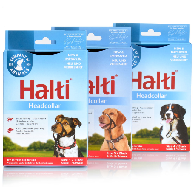 Buy Halti Padded Headcollar for Dogs Online ePETstore