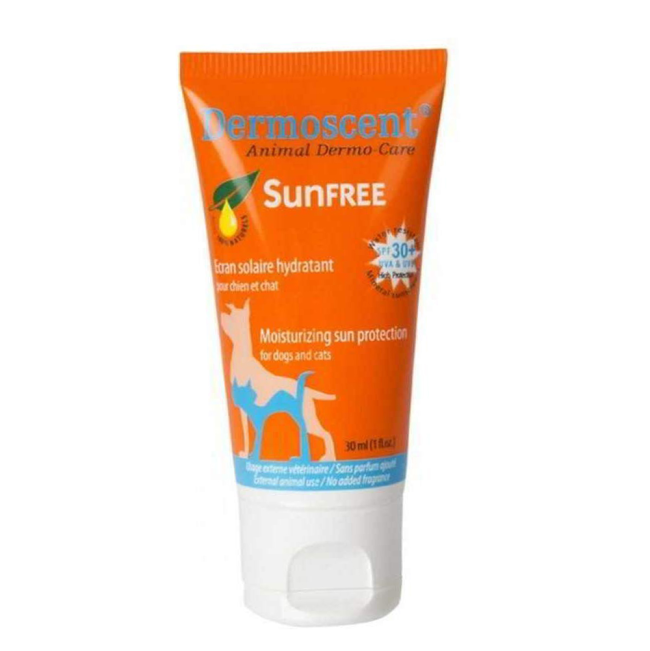 Can You Use Suntan Lotion On Dogs