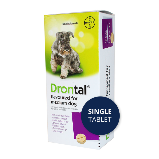 How Often Should I Worm My Dog With Drontal