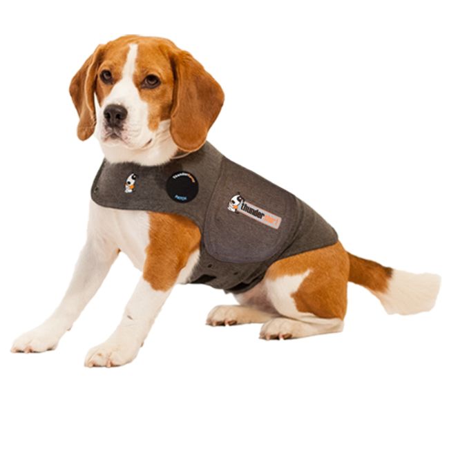 cheap thundershirt for dogs
