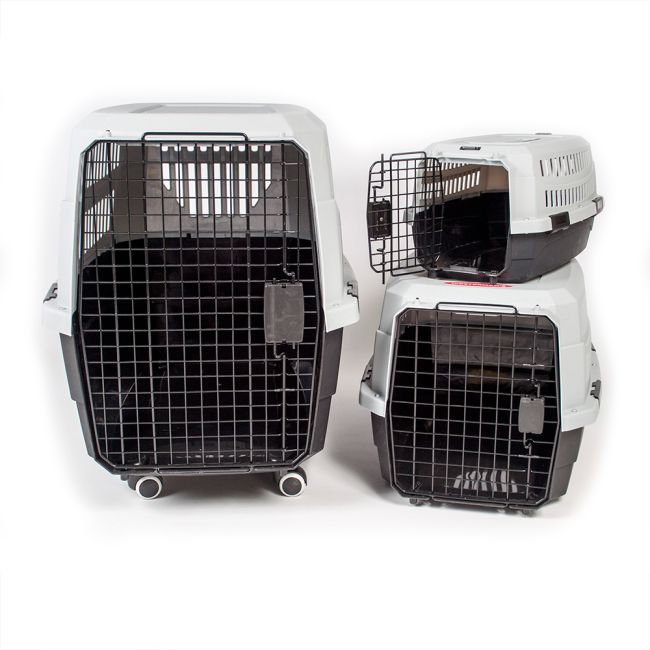 Buy Viaggio Airline Approved Pet Carrier Online ePETstore