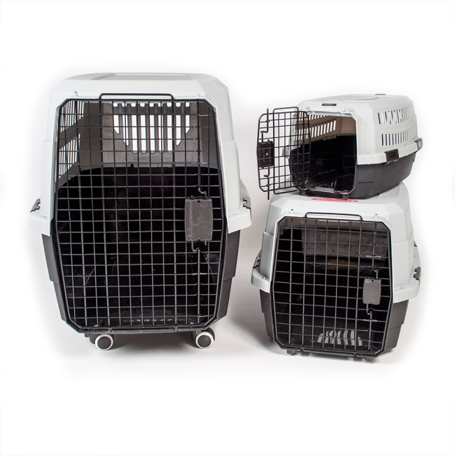 Buy Viaggio Airline Approved Pet Carrier Online ePETstore