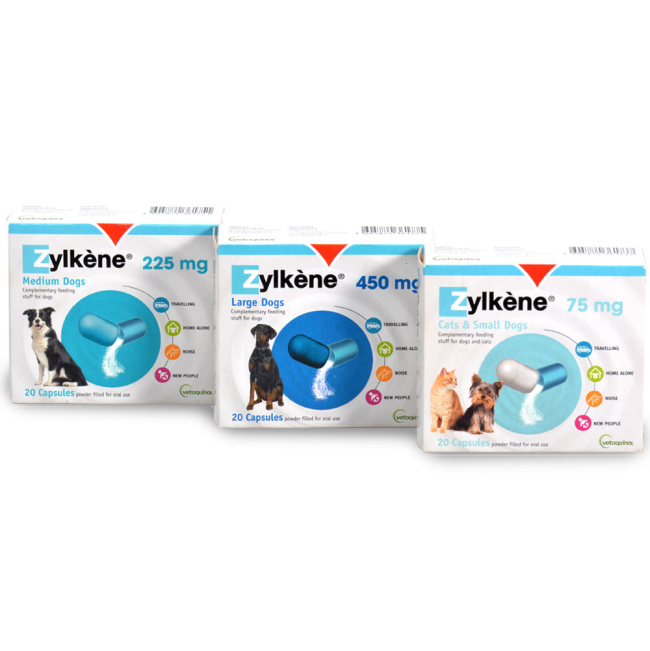 Buy Zylkene Calming Tablets for Dogs and Cats ePETstore