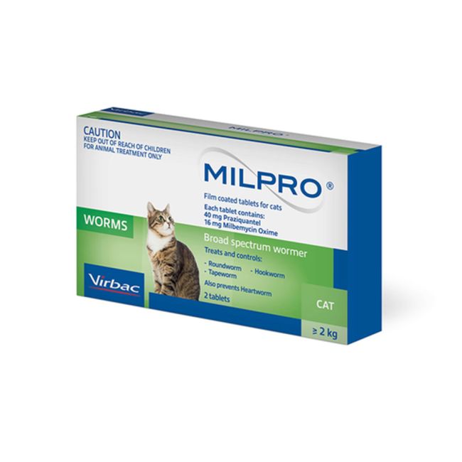Buy Milpro Deworming Tablet For Cats Online ePETstore