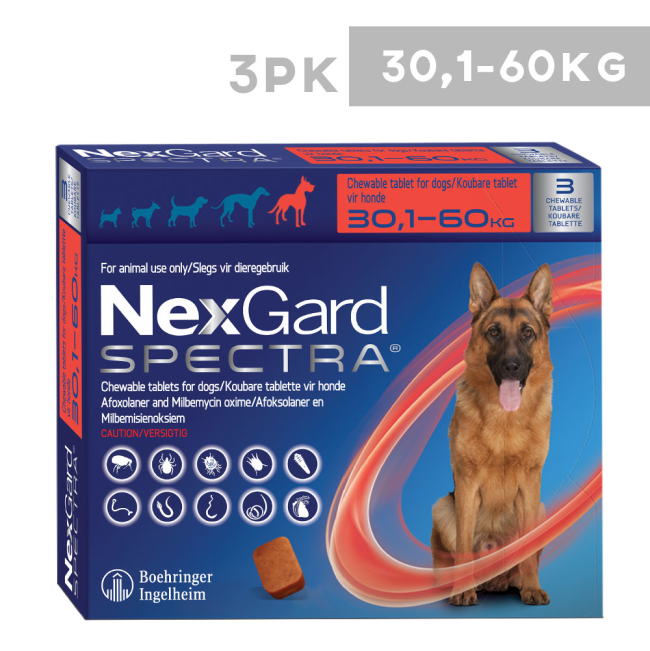 Does Nexgard Kill Worms In Dogs