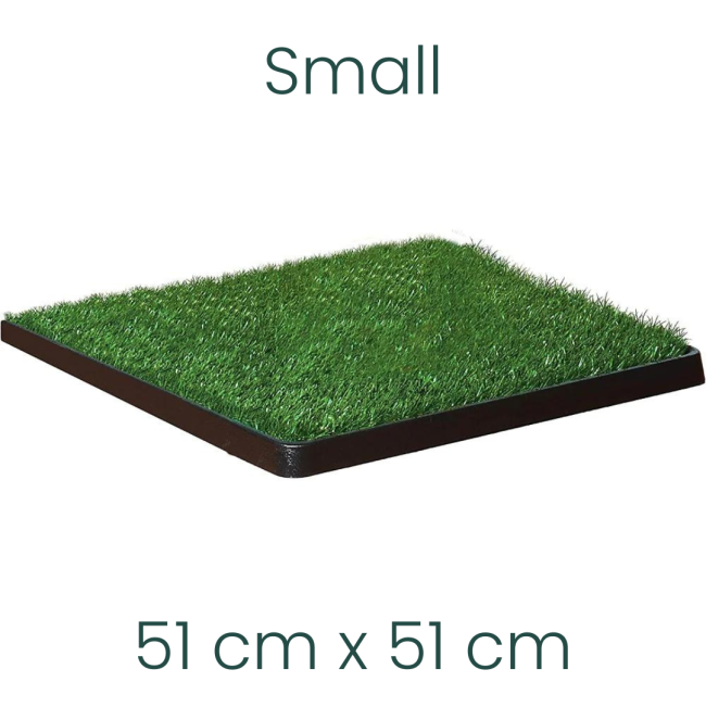 WeeWee Indoor Pet Potty Grass Patch For Dogs ePETstore