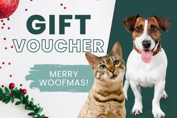 Christmas Gift Voucher