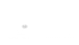 logo (1)