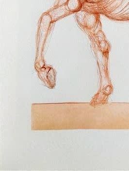 Salvador Dali - The Inferno, Canto 25 - The Centaur, 1960 - Image 4