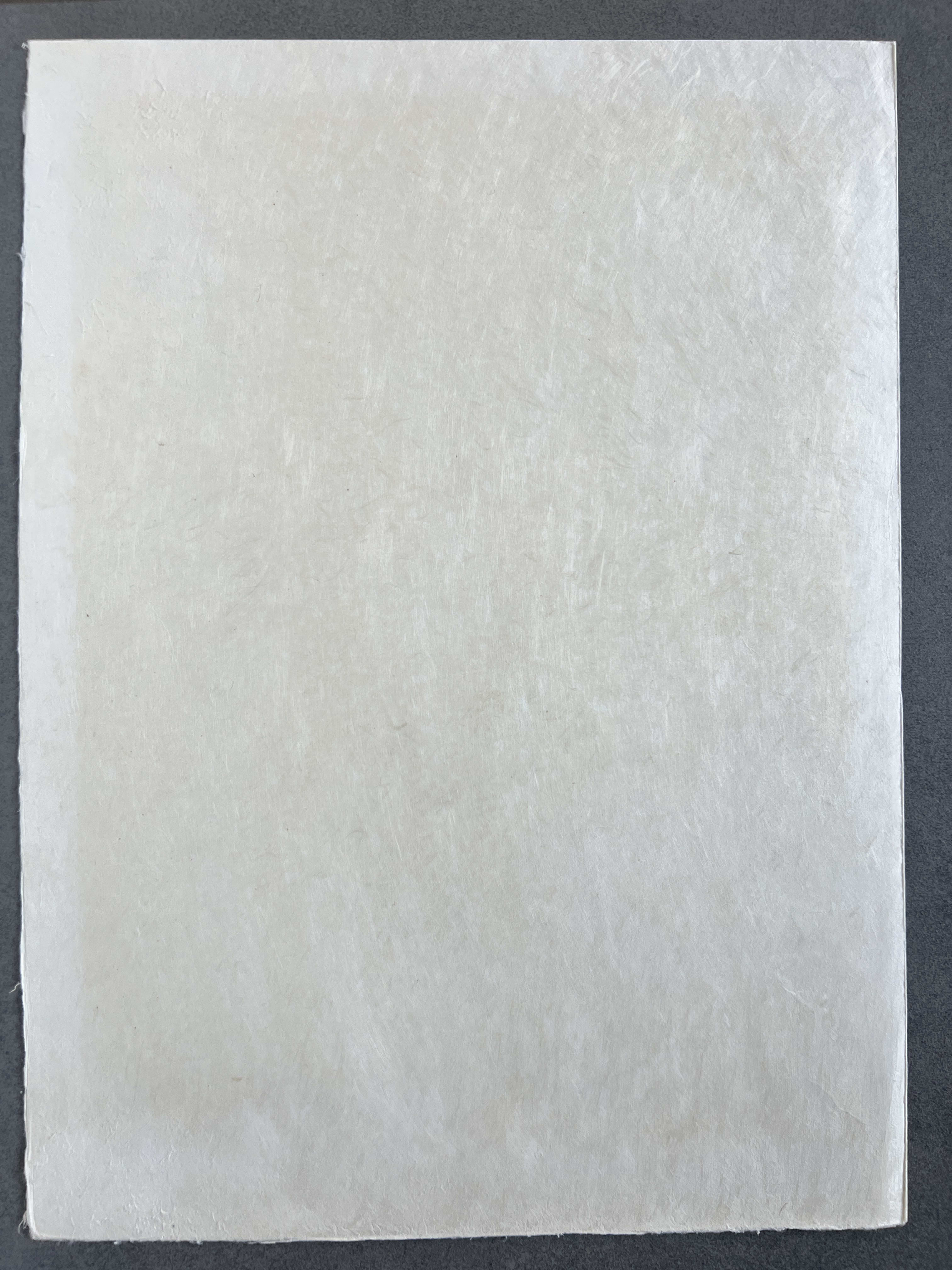 Marc Chagall - Moreover they made garments of ministration to minister in the Sanctuarie; they made also the holy garments for Aaron, as the Lorde had commanded Moses, 1966 - Image 7