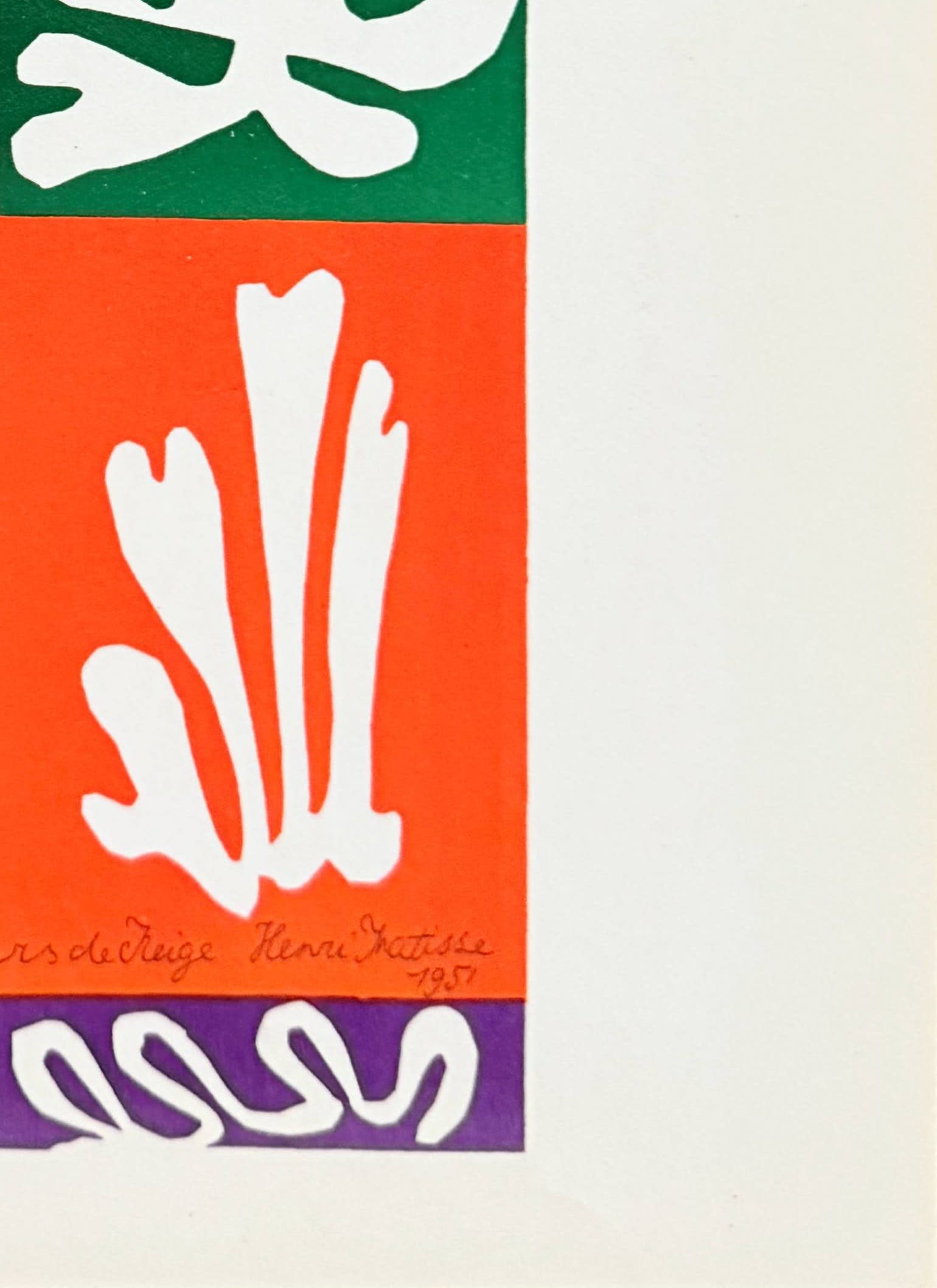 Henri Matisse - Fleurs de Neige, 1958 - Image 5