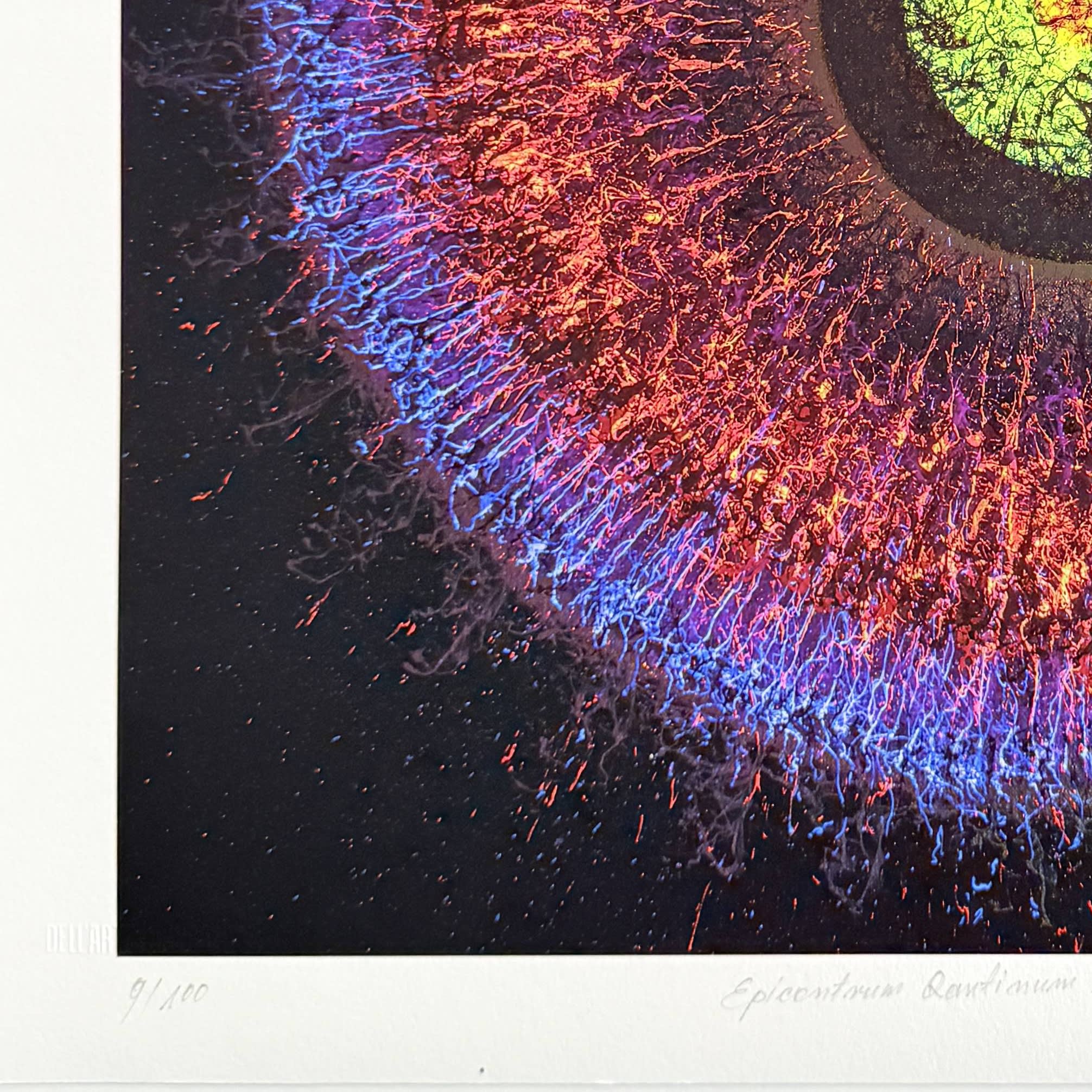 Jaremi Picz - Helix Nebula II, 2025 - Image 4