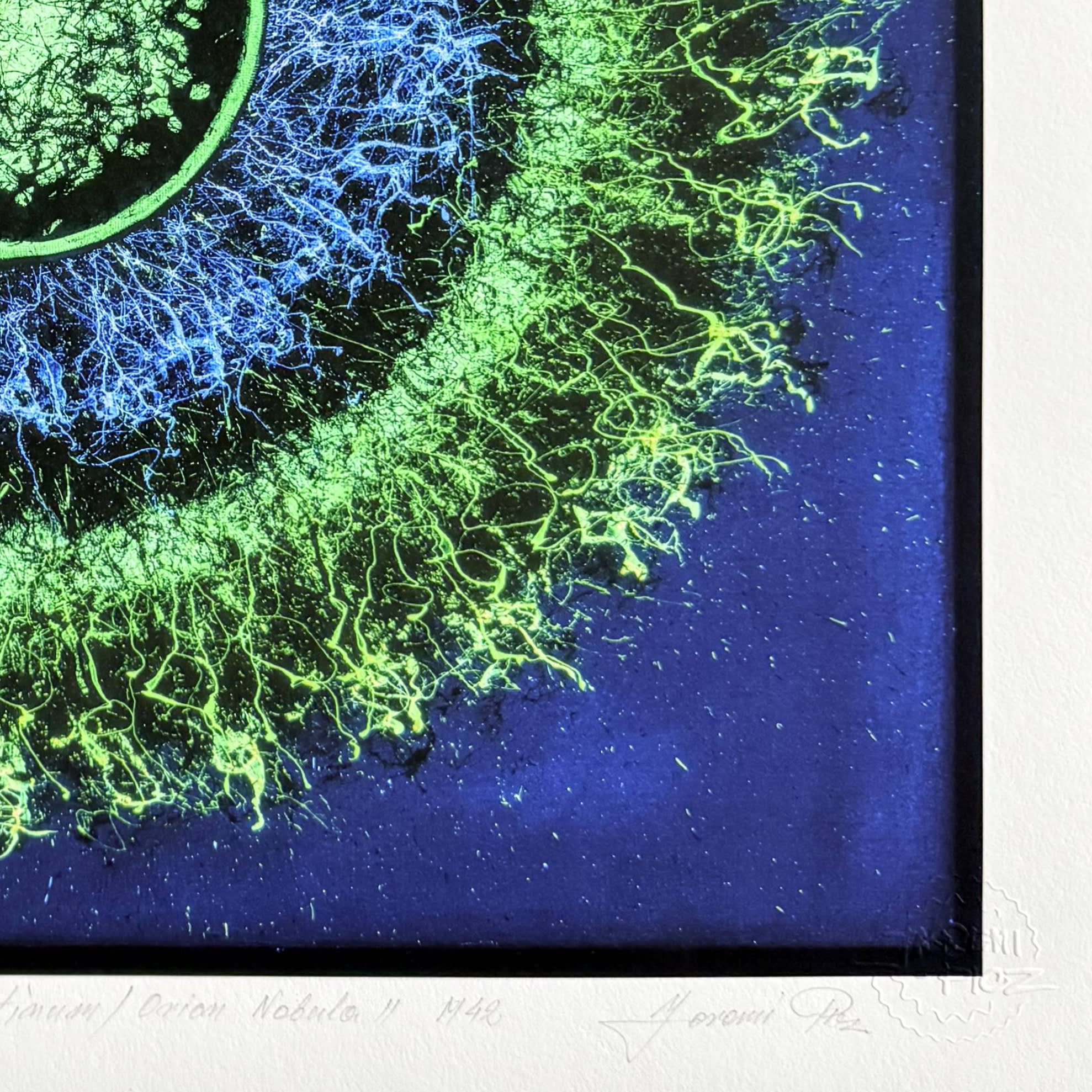 Jaremi Picz - Orion Nebula II M42, 2025 - Image 5