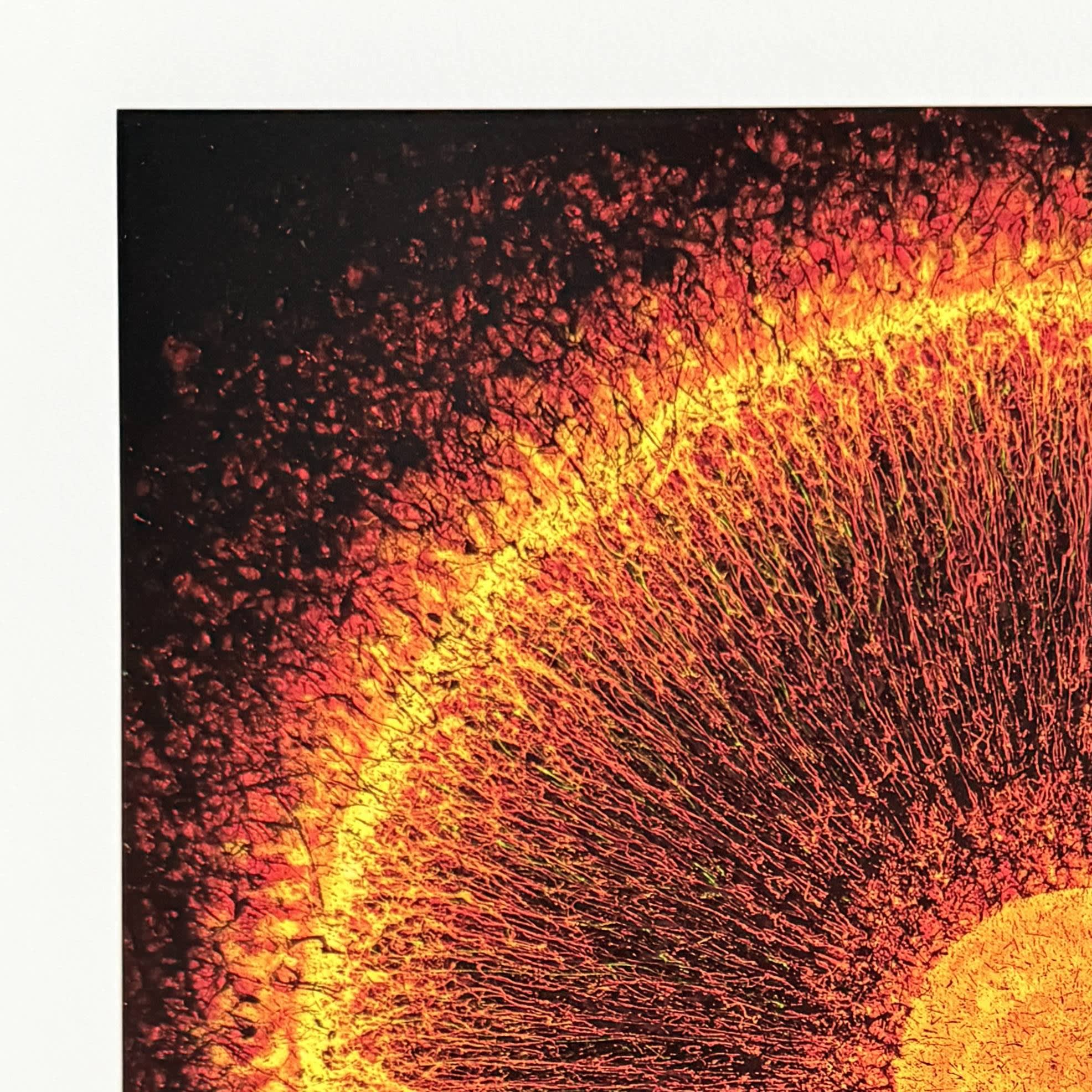 Jaremi Picz - Einstein Ring, 2025 - Image 3