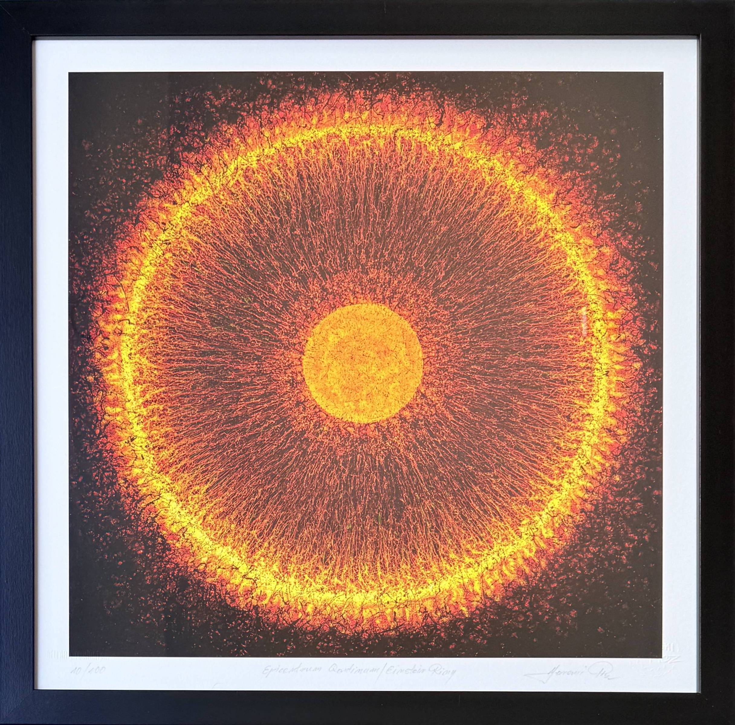 Jaremi Picz - Einstein Ring, 2025 - Image 2