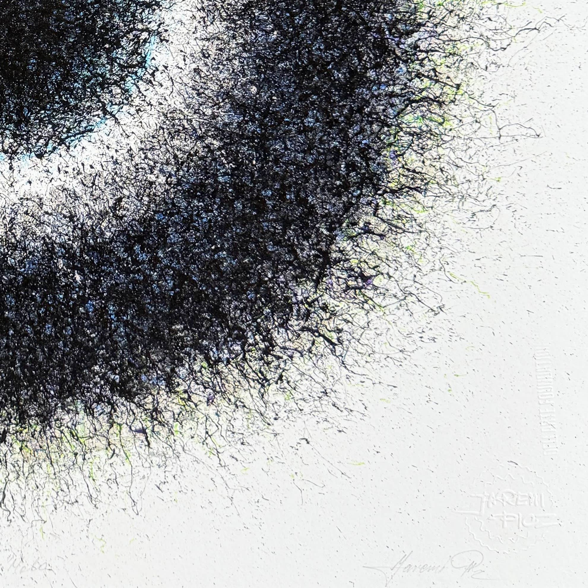 Jaremi Picz - Dark Matter Halo, 2025 - Image 5