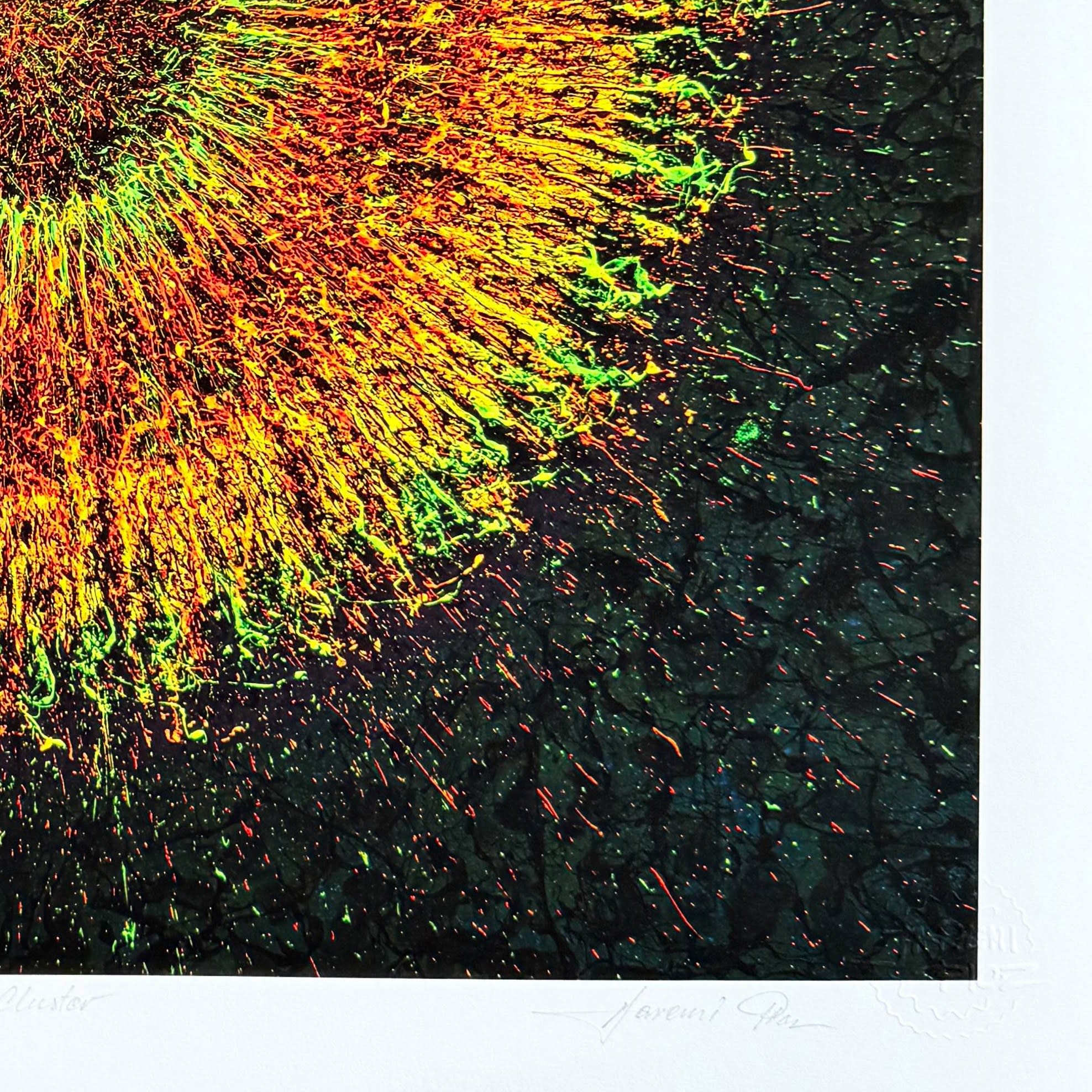 Jaremi Picz - Phoenix Cluster, 2025 5 Jaremi Picz - Phoenix Cluster, 2025 - Image 5