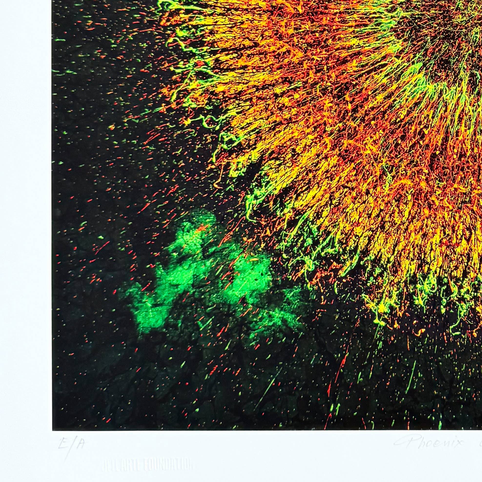 Jaremi Picz - Phoenix Cluster, 2025 - Image 4