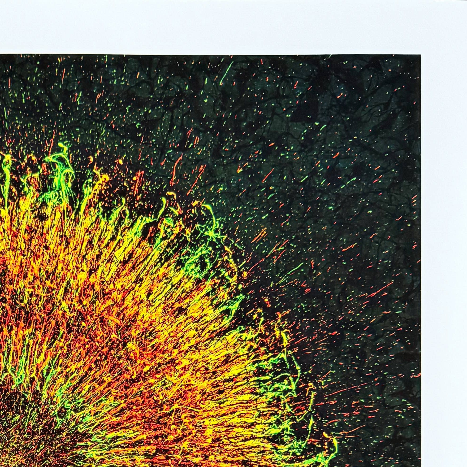 Jaremi Picz - Phoenix Cluster, 2025 - Image 3