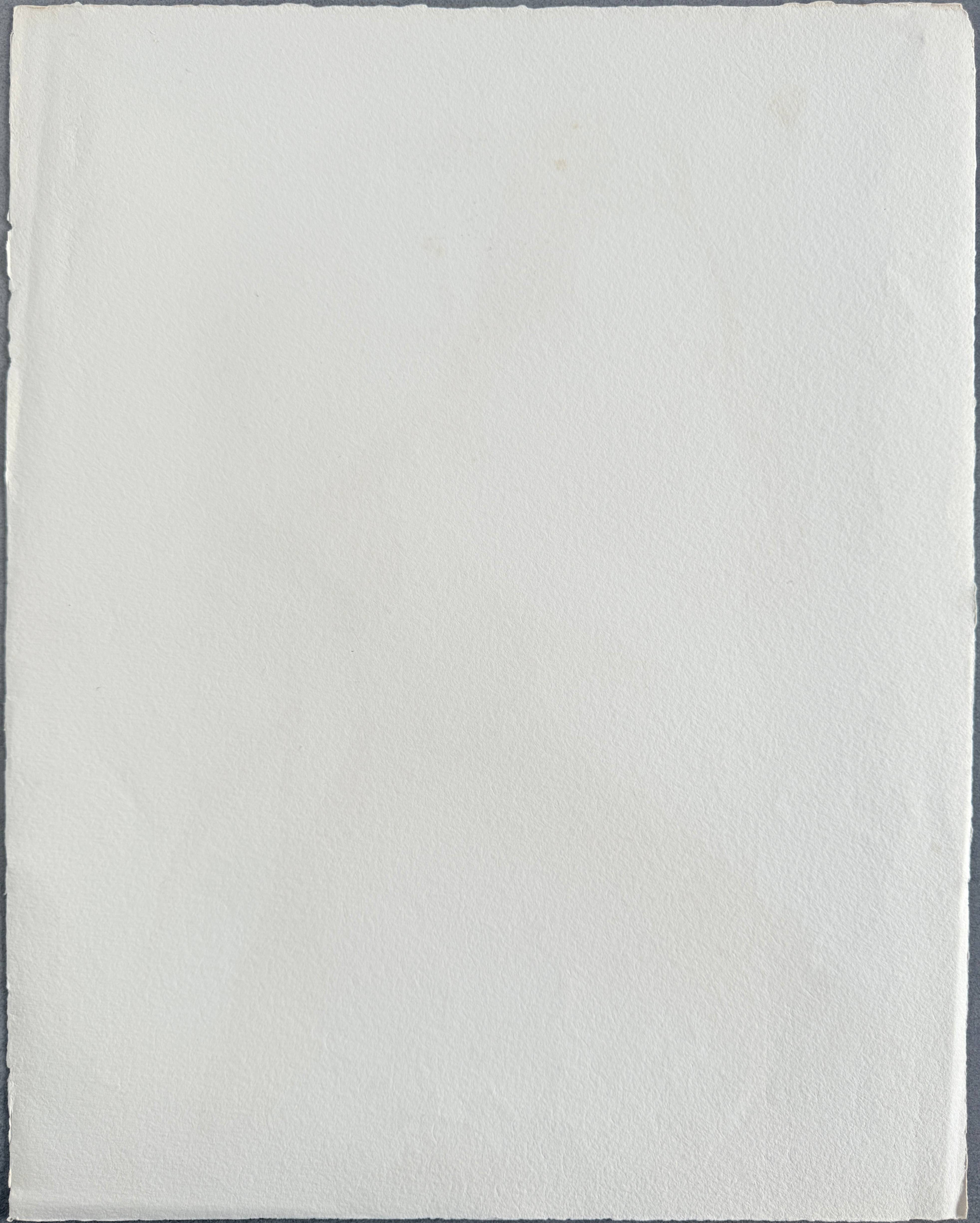 Pablo Picasso - Jacqueline en espagnole, 1967 - Image 7