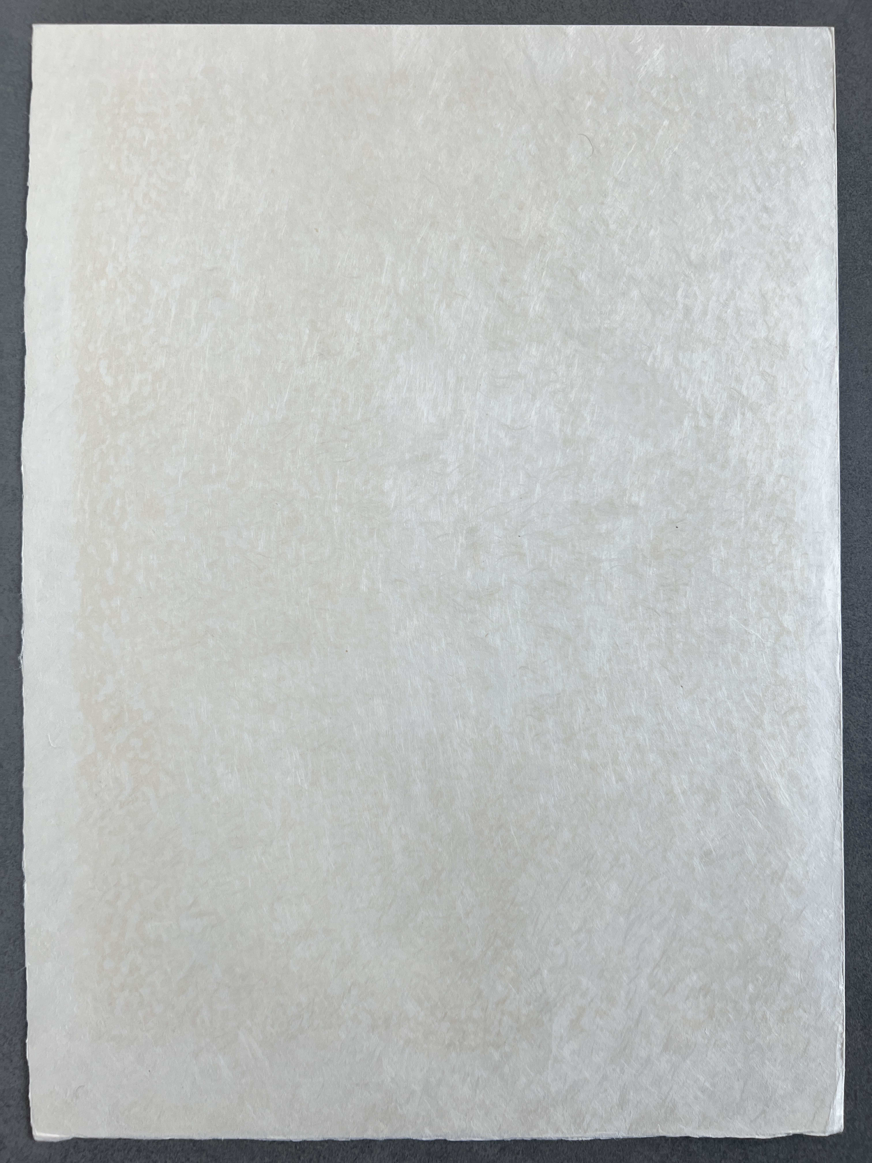 Marc Chagall - Moses then came and called for the Elders of the people, and proposed unto them all these things, which the Lorde commanded him, 1966 - Image 6