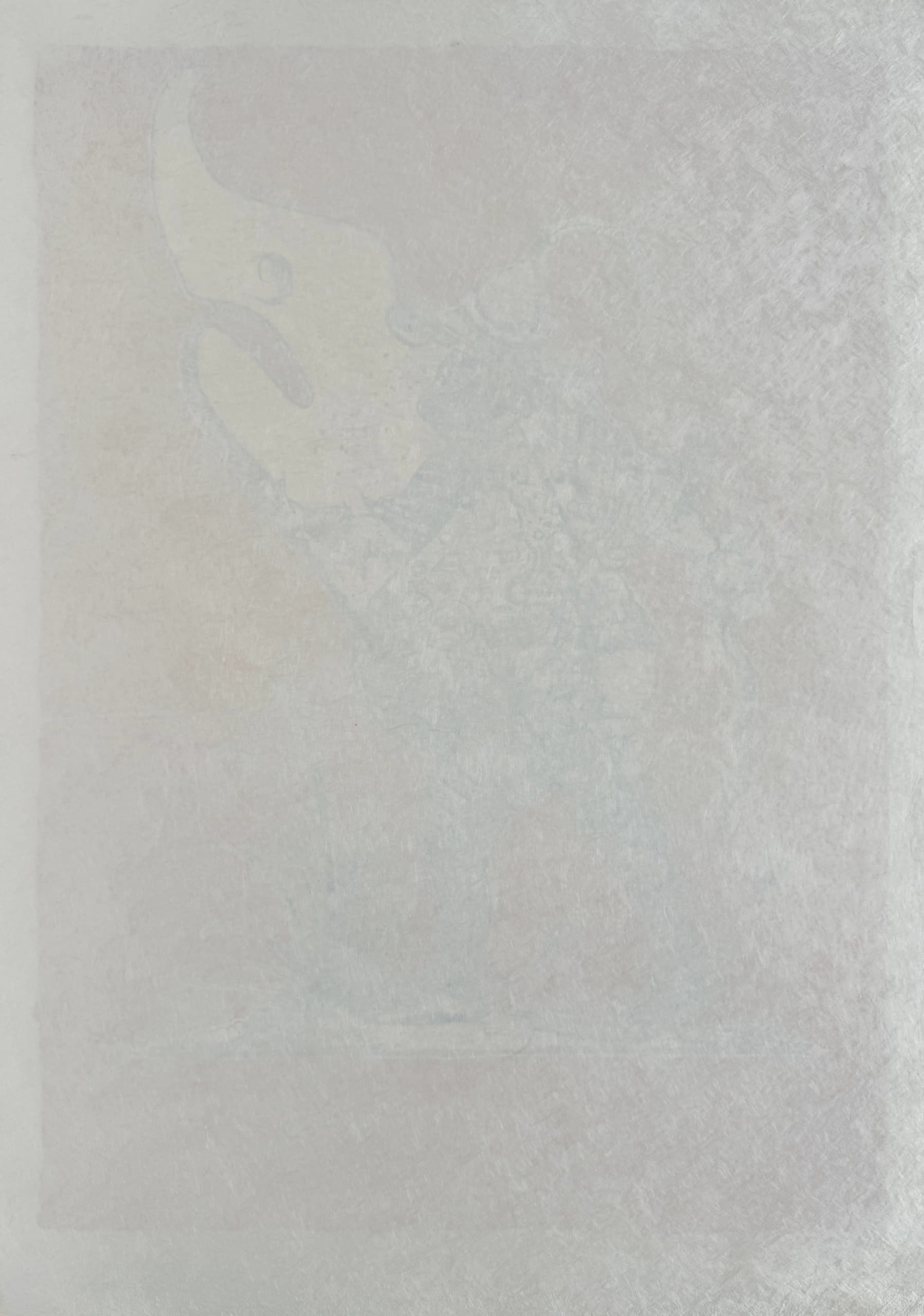 Salvador Dali - Les Songes Drôlatiques de Pantagruel, Planche XXIV, 1973 - Image 7