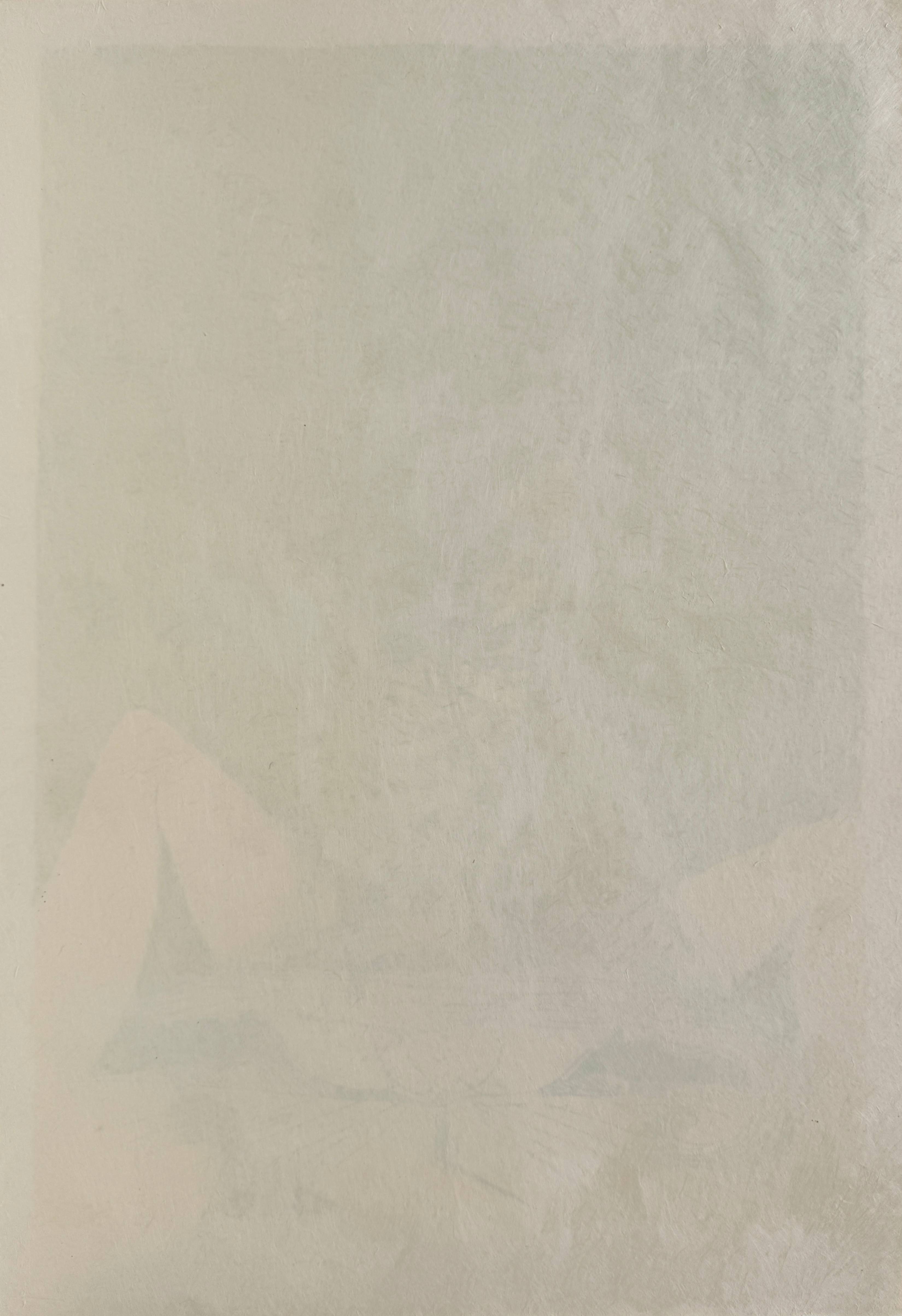 Salvador Dali - Les Songes Drôlatiques de Pantagruel, Planche XV, 1973 - Image 7