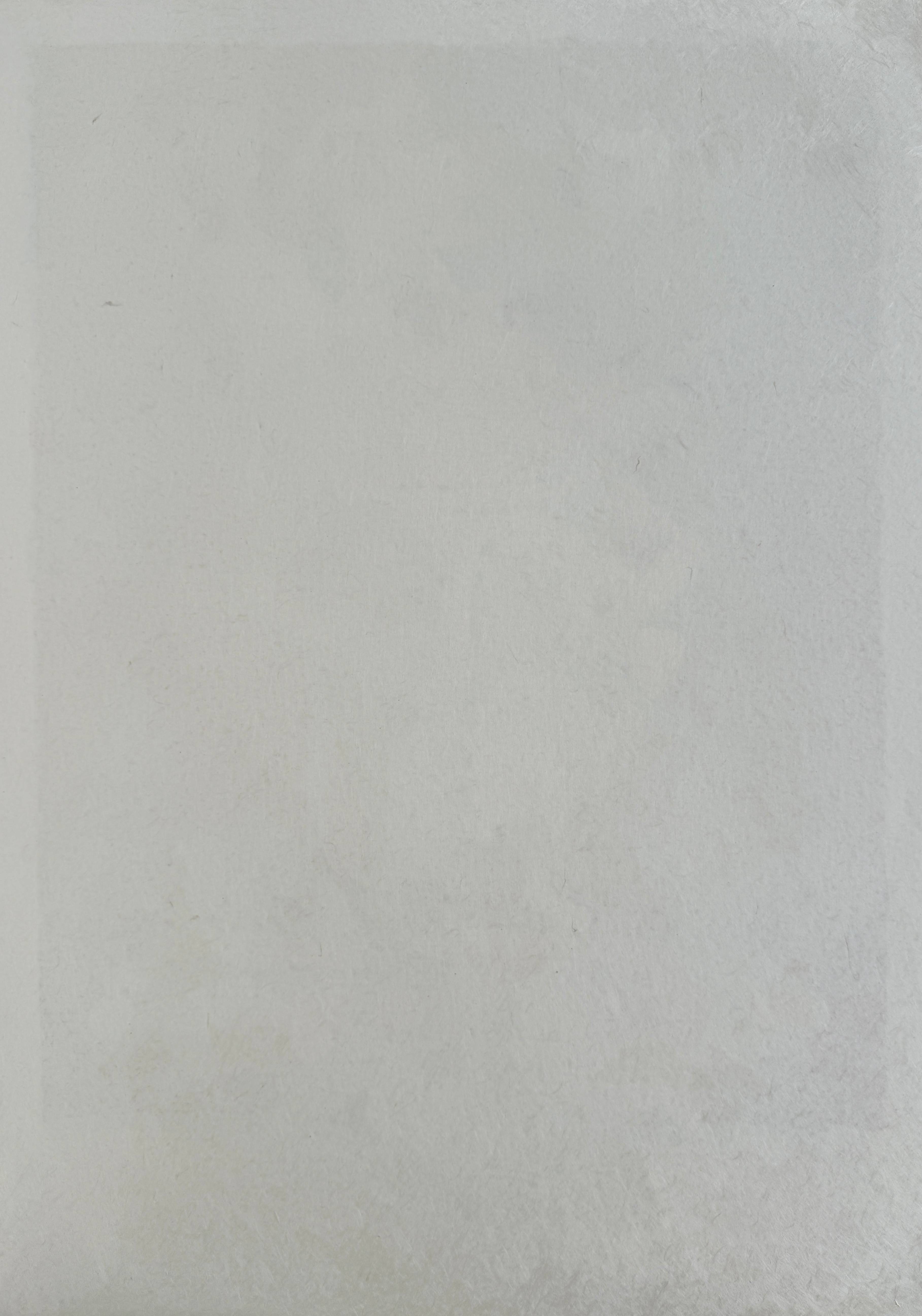 Salvador Dali - Les Songes Drôlatiques de Pantagruel, Planche XII, 1973 7 Salvador Dali - Les Songes Drôlatiques de Pantagruel, Planche XII, 1973 - Image 7