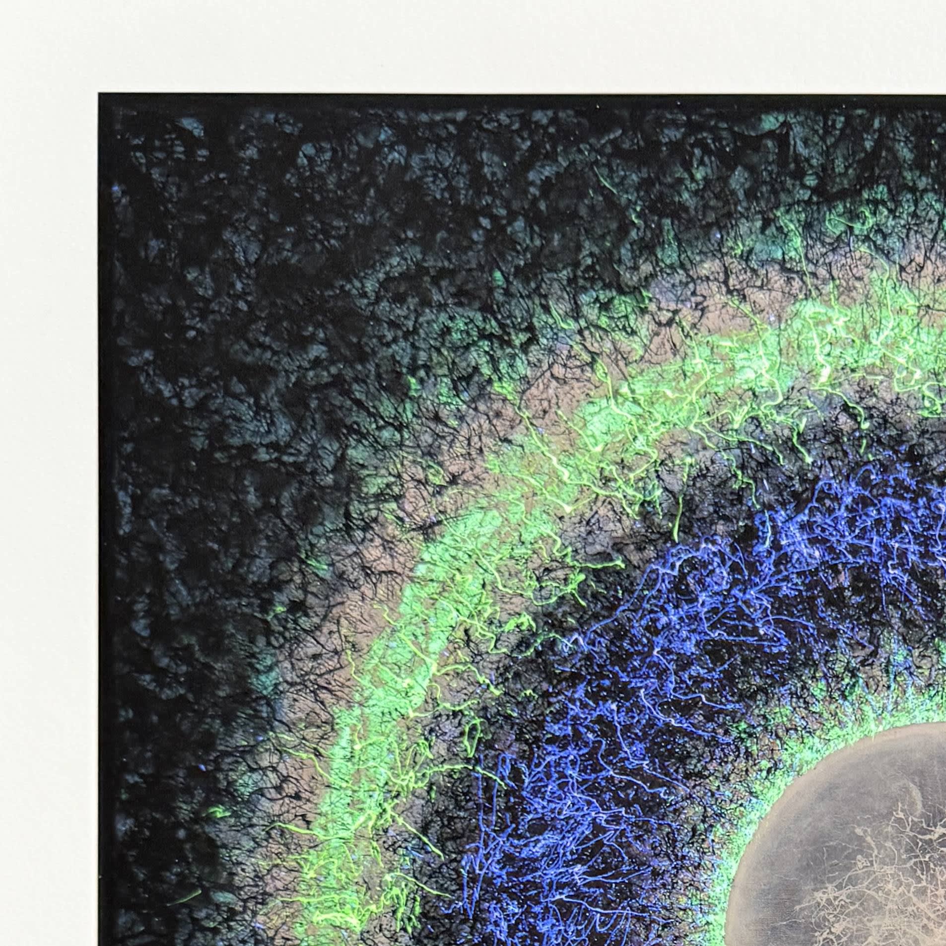 Jaremi Picz - Orion Nebula M42, 2025 - Image 2