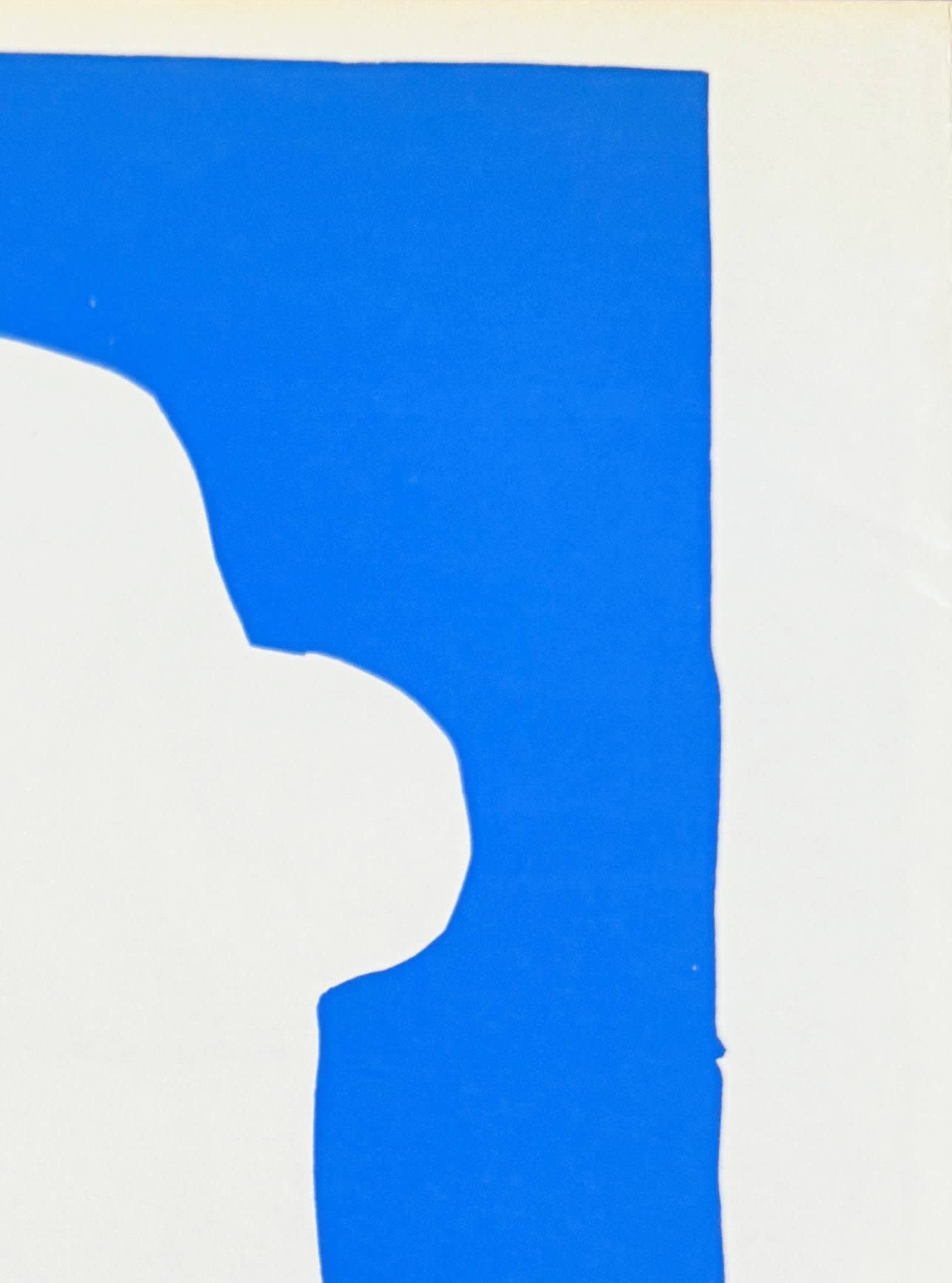 Henri Matisse - Femme Bleue, 1958 - Image 3