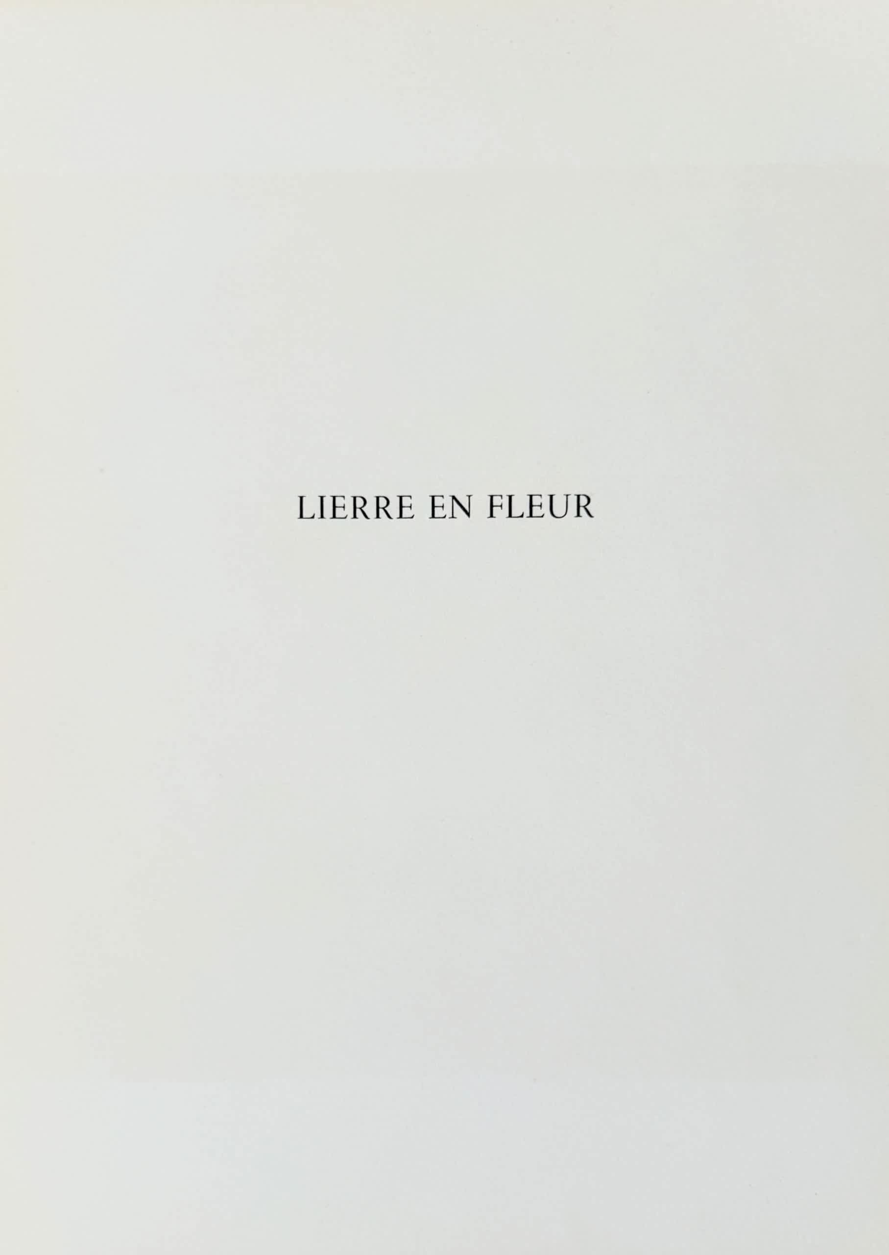 Henri Matisse - Lierre en Fleur, 1958 - Image 6