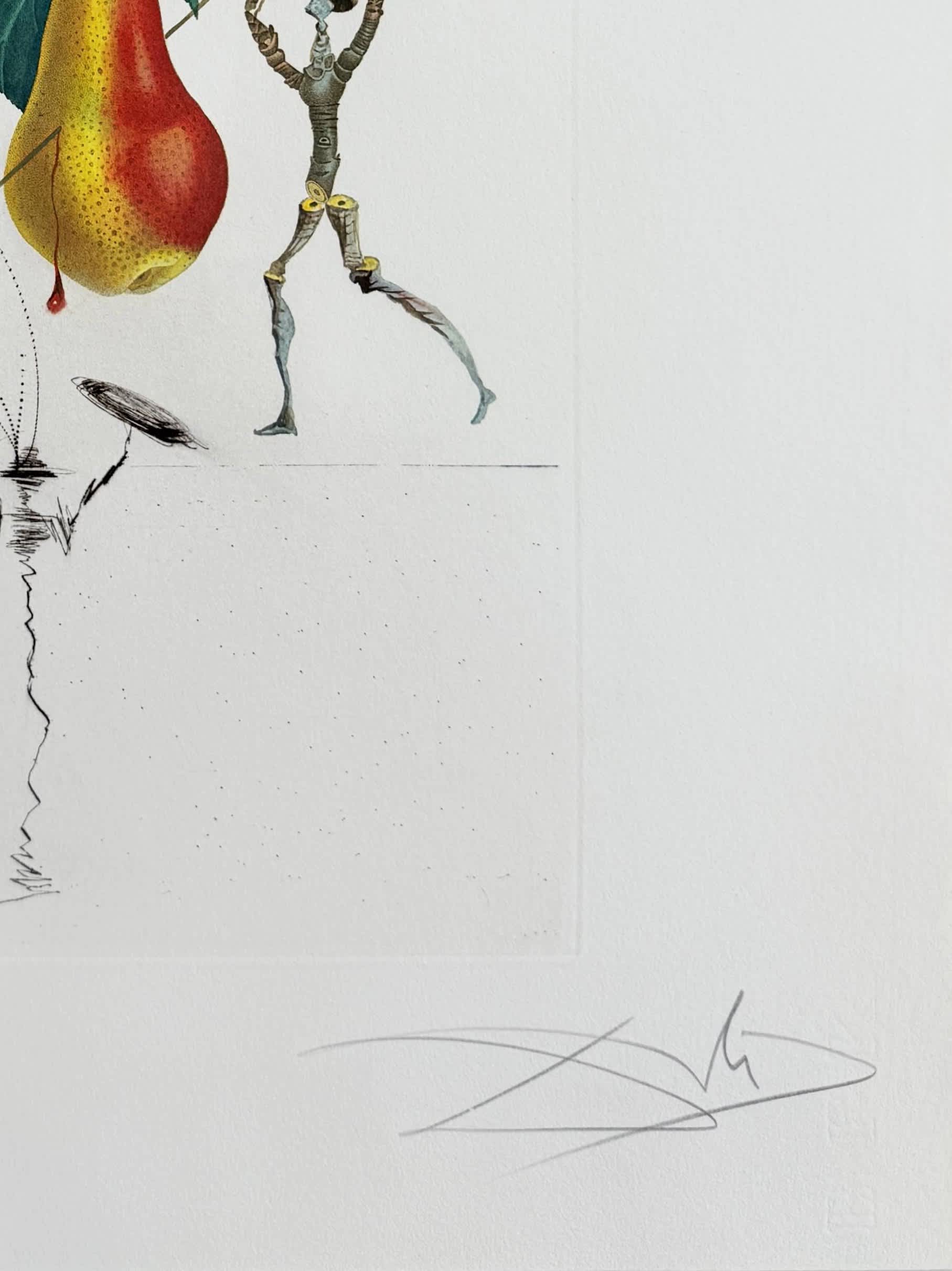 Salvador Dali - Don Quixote Pear from Flordali suite, 1969 - Image 6