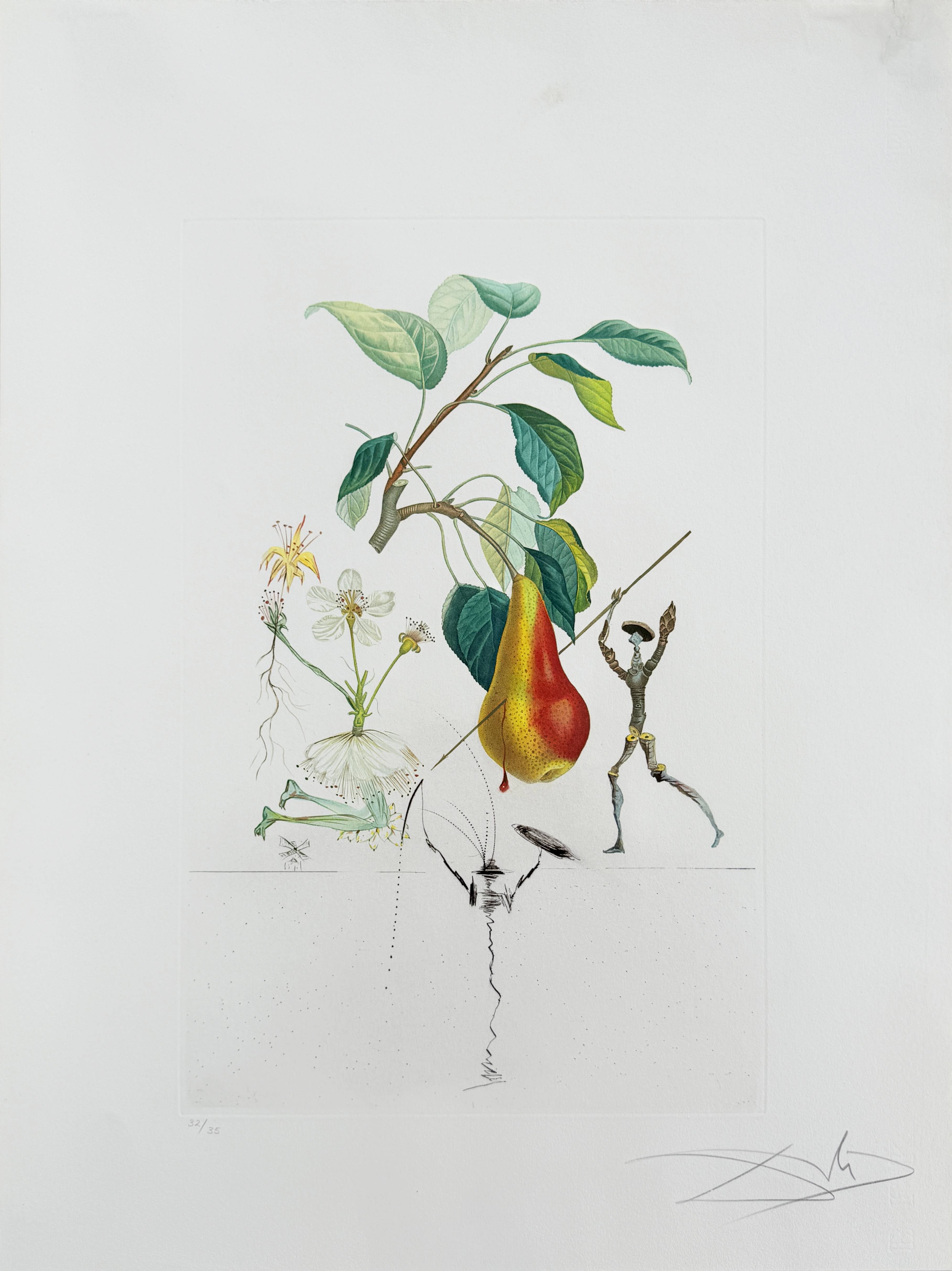 Salvador Dali - Don Quixote Pear from Flordali suite, 1969