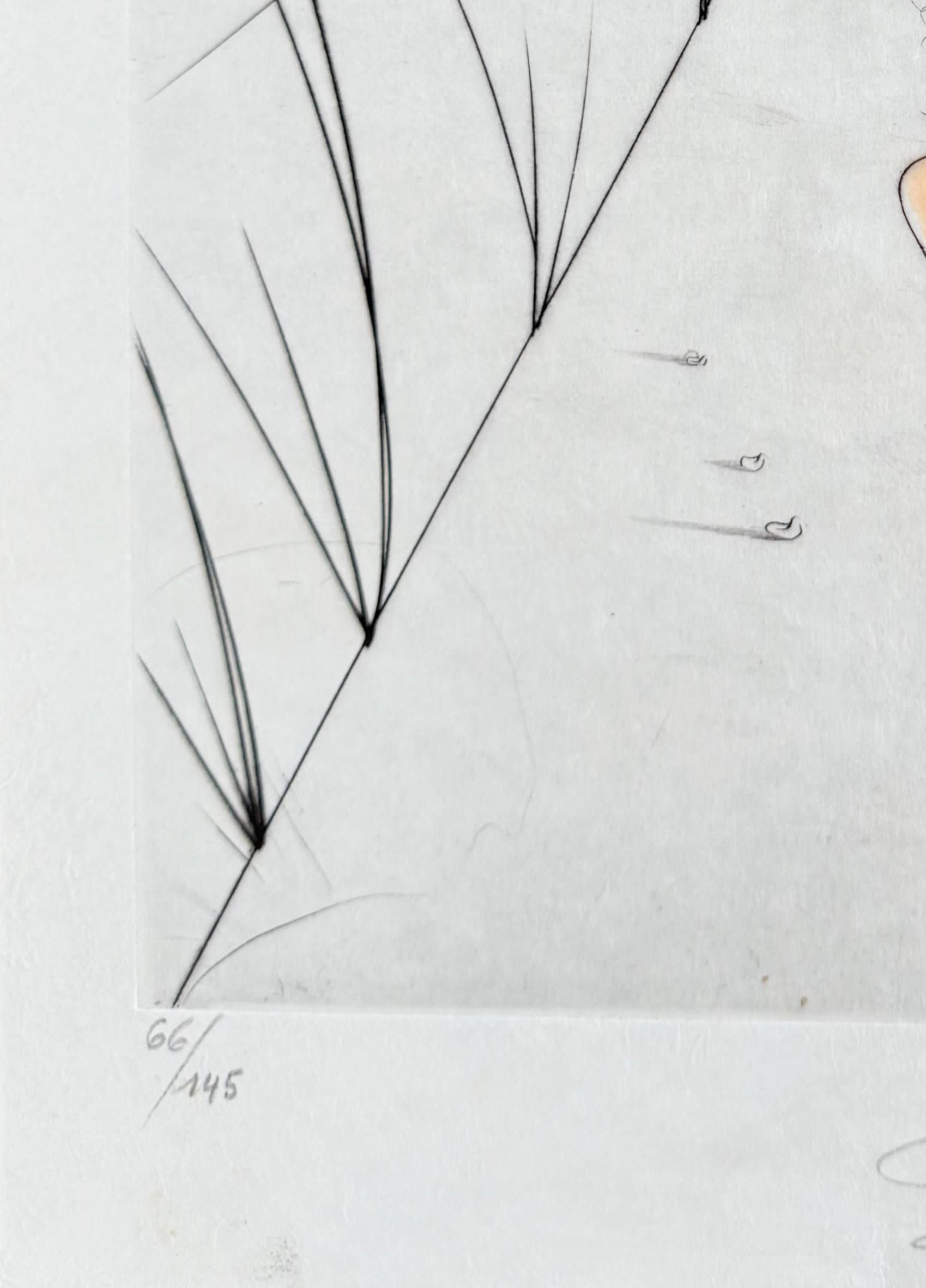 Salvador Dali - La Femme au fouet, 1969 - Image 4