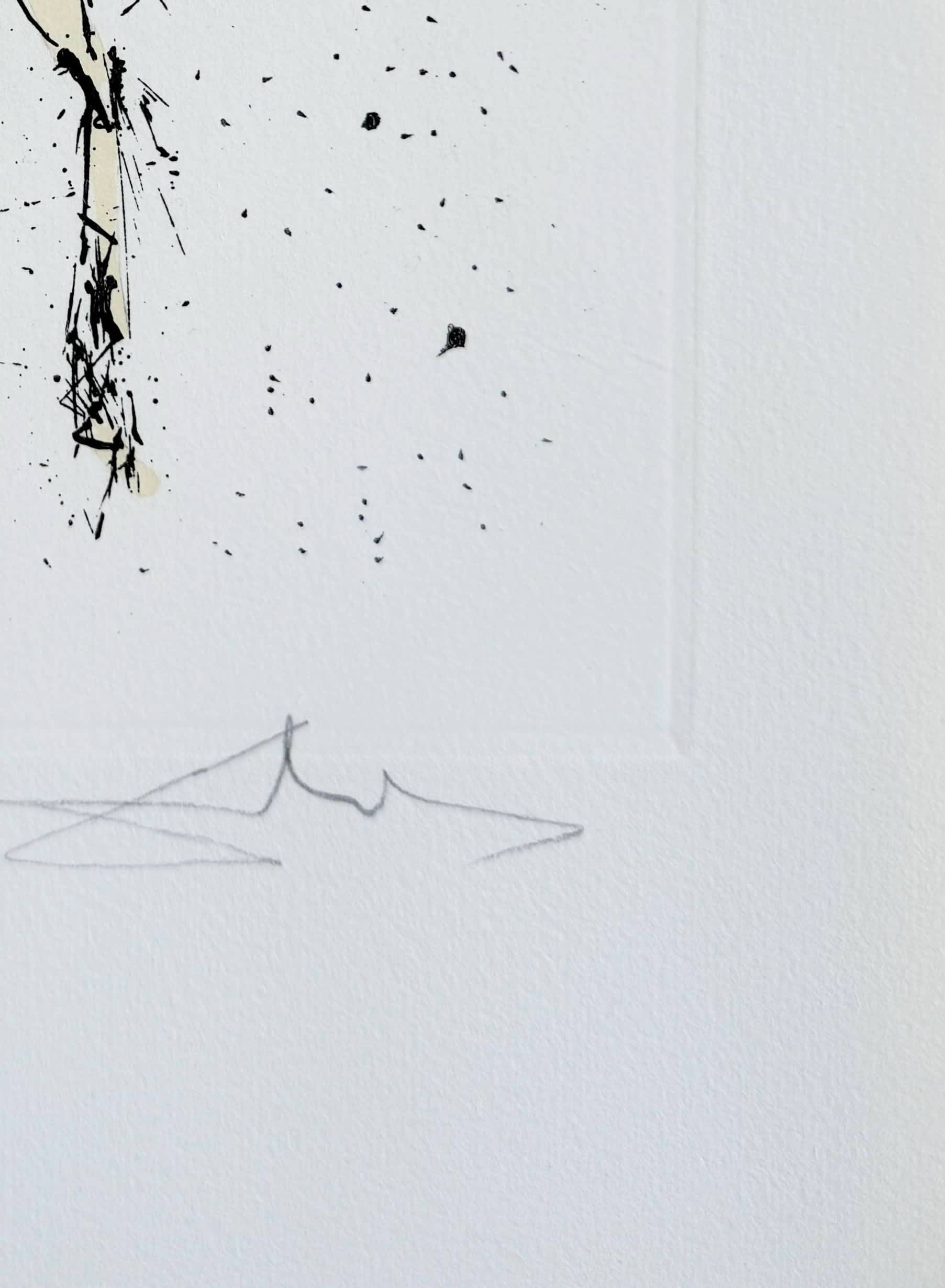 Salvador Dali - Gemini, 1974 - Image 3