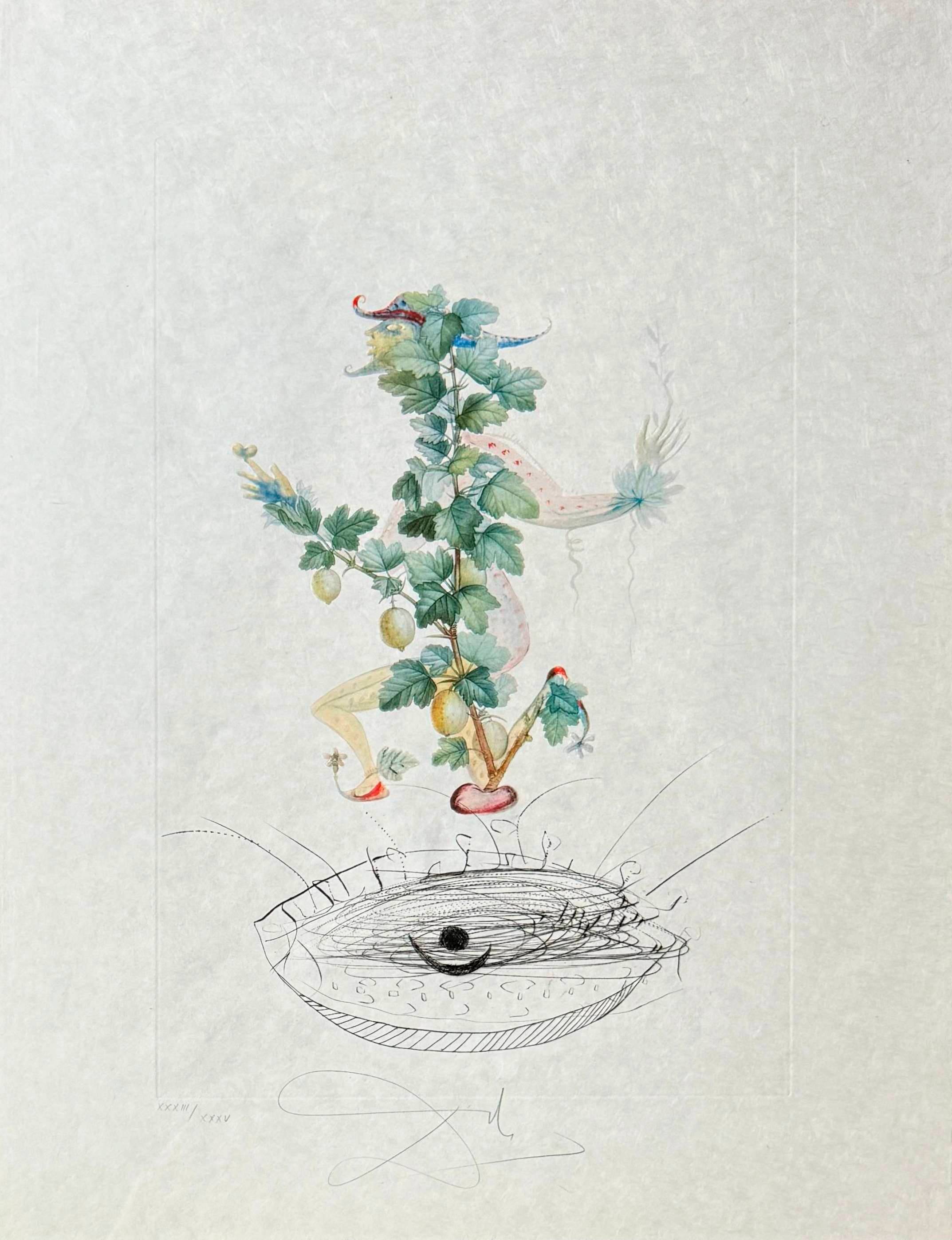 Salvador Dali - Révérence du groseillier (Curtsying Gooseberry Bush), 1969