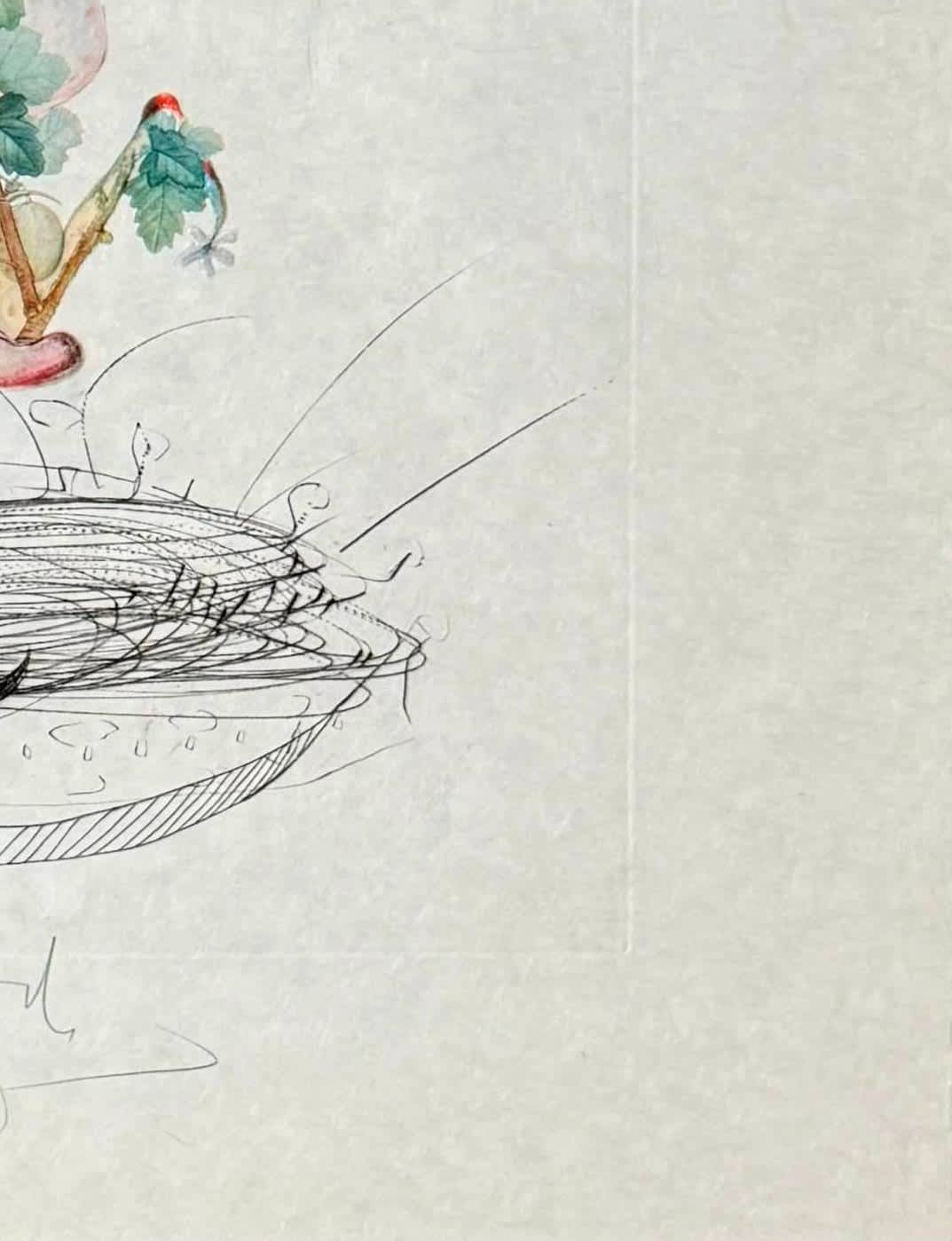 Salvador Dali - Révérence du groseillier (Curtsying Gooseberry Bush), 1969 - Image 5