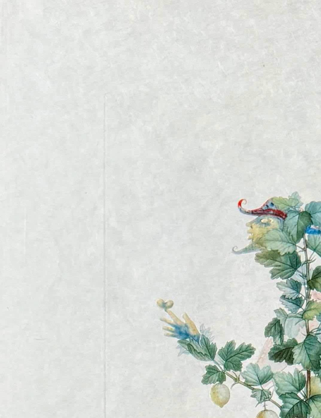 Salvador Dali - Révérence du groseillier (Curtsying Gooseberry Bush), 1969 - Image 2