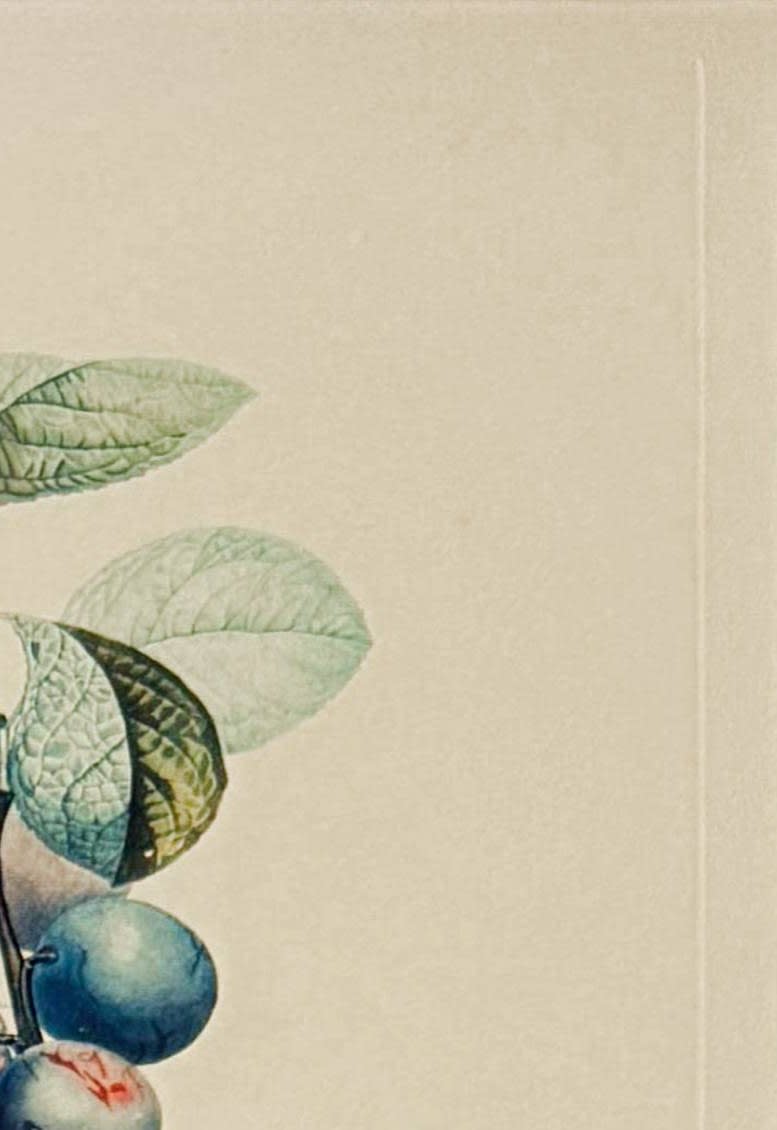 Salvador Dali - Prunier hâtif (Hurrying Plum-tree), 1969 - Image 3