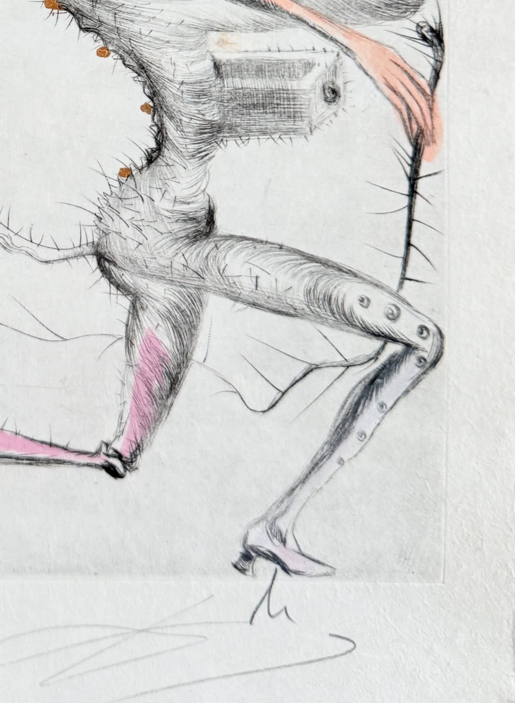 Salvador Dali - Le Démon ailé, 1969 - Image 5