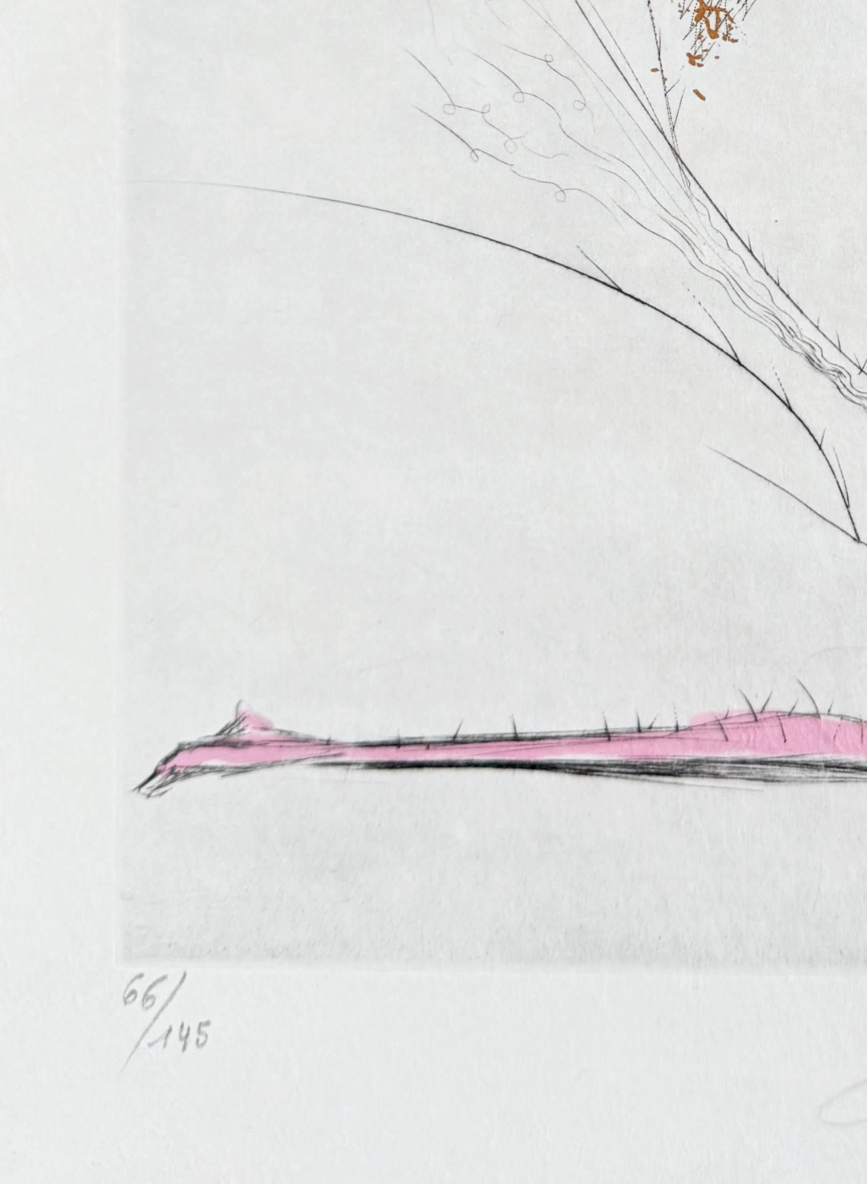 Salvador Dali - Le Démon ailé, 1969 - Image 4