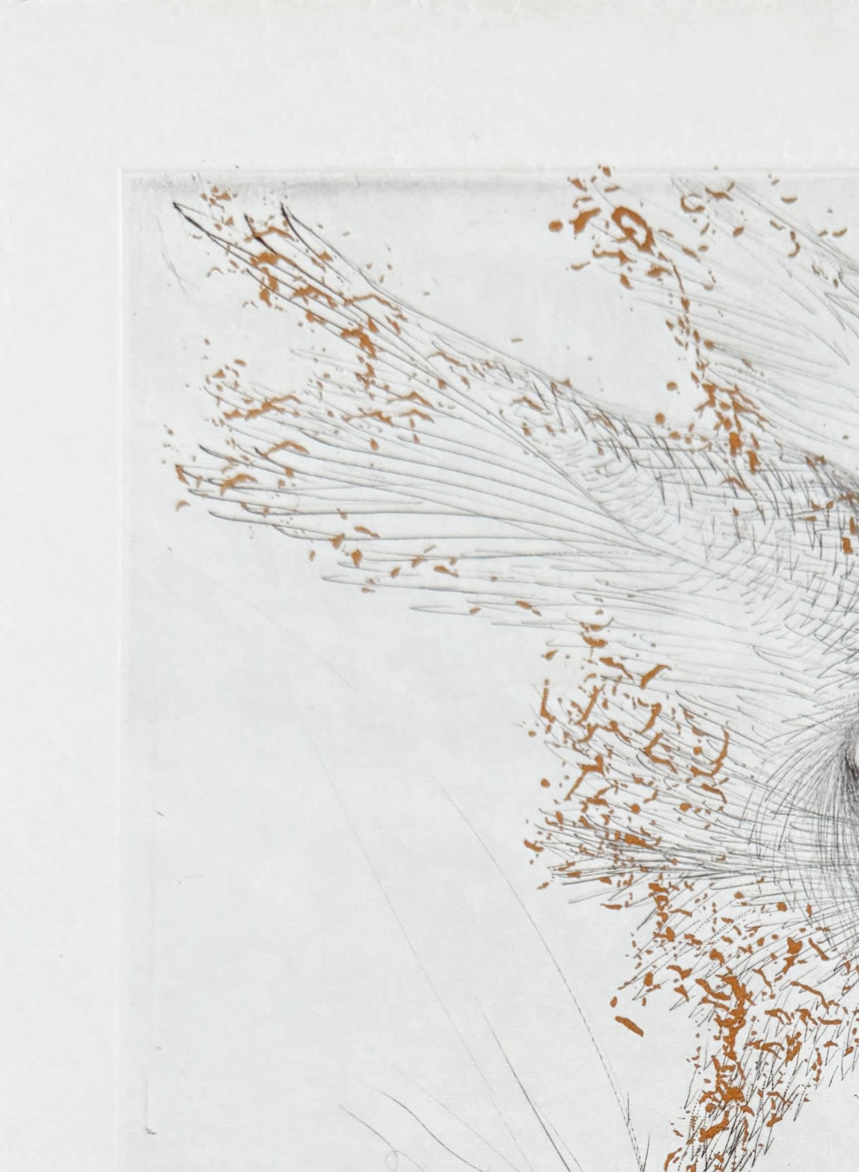 Salvador Dali - Le Démon ailé, 1969 - Image 2