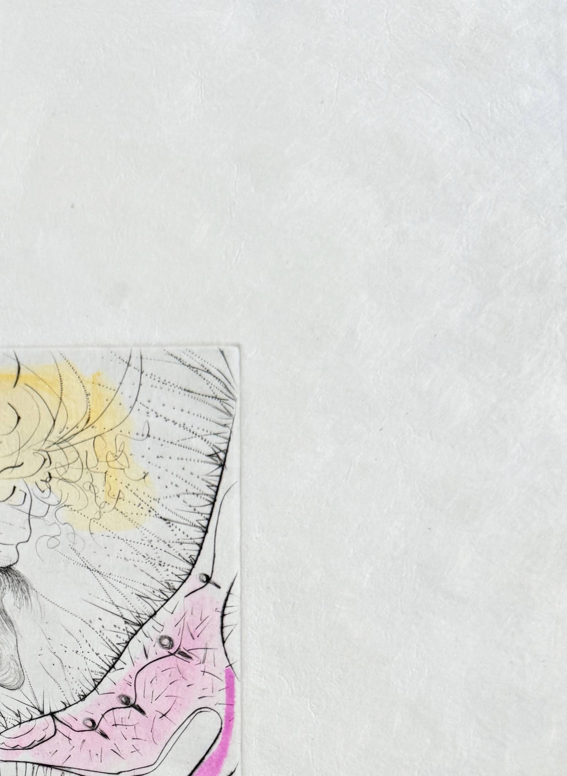 Salvador Dali - Homme baisant la chaussure, 1969 - Image 3