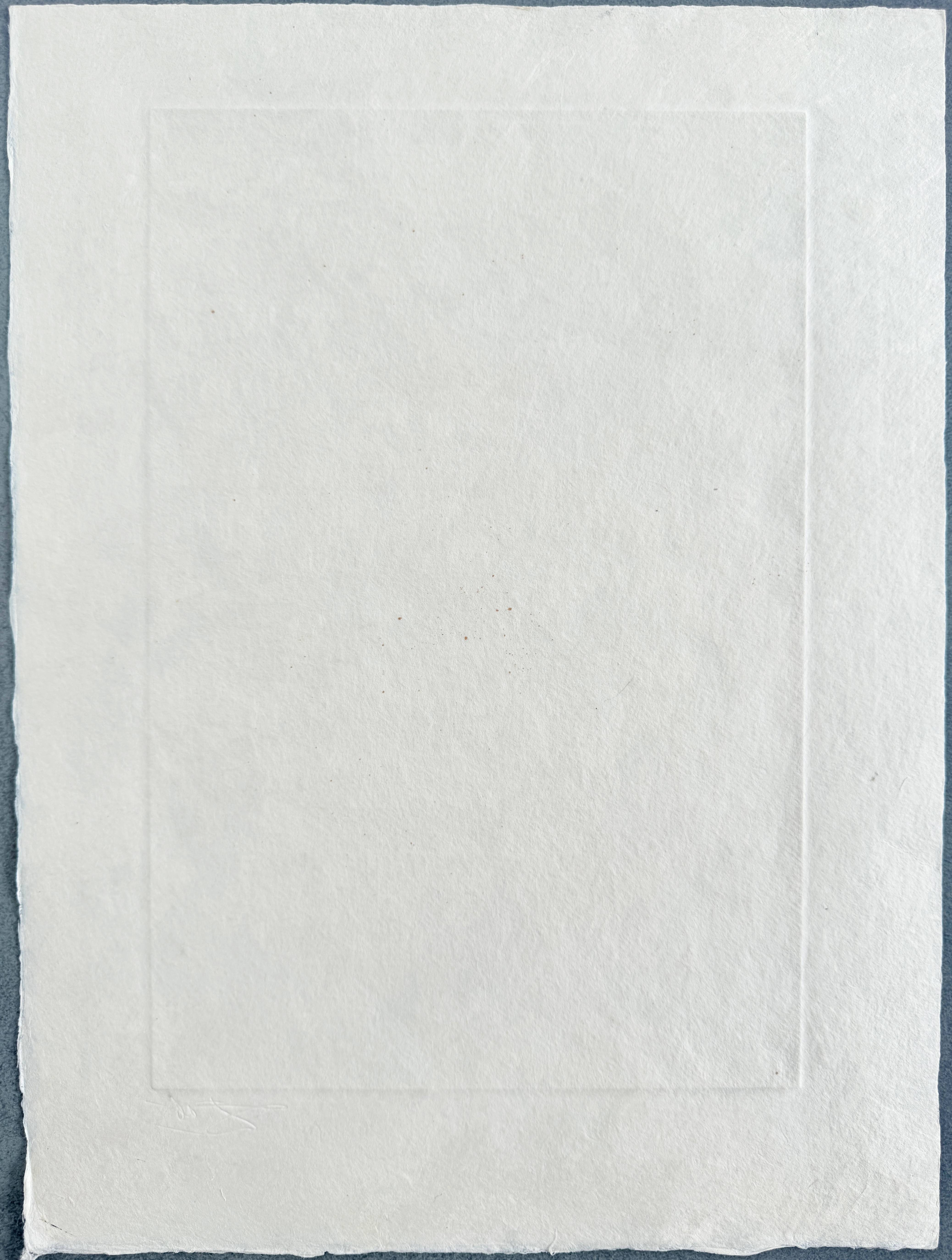 Salvador Dali - Frontispiece, 1967 - Image 7