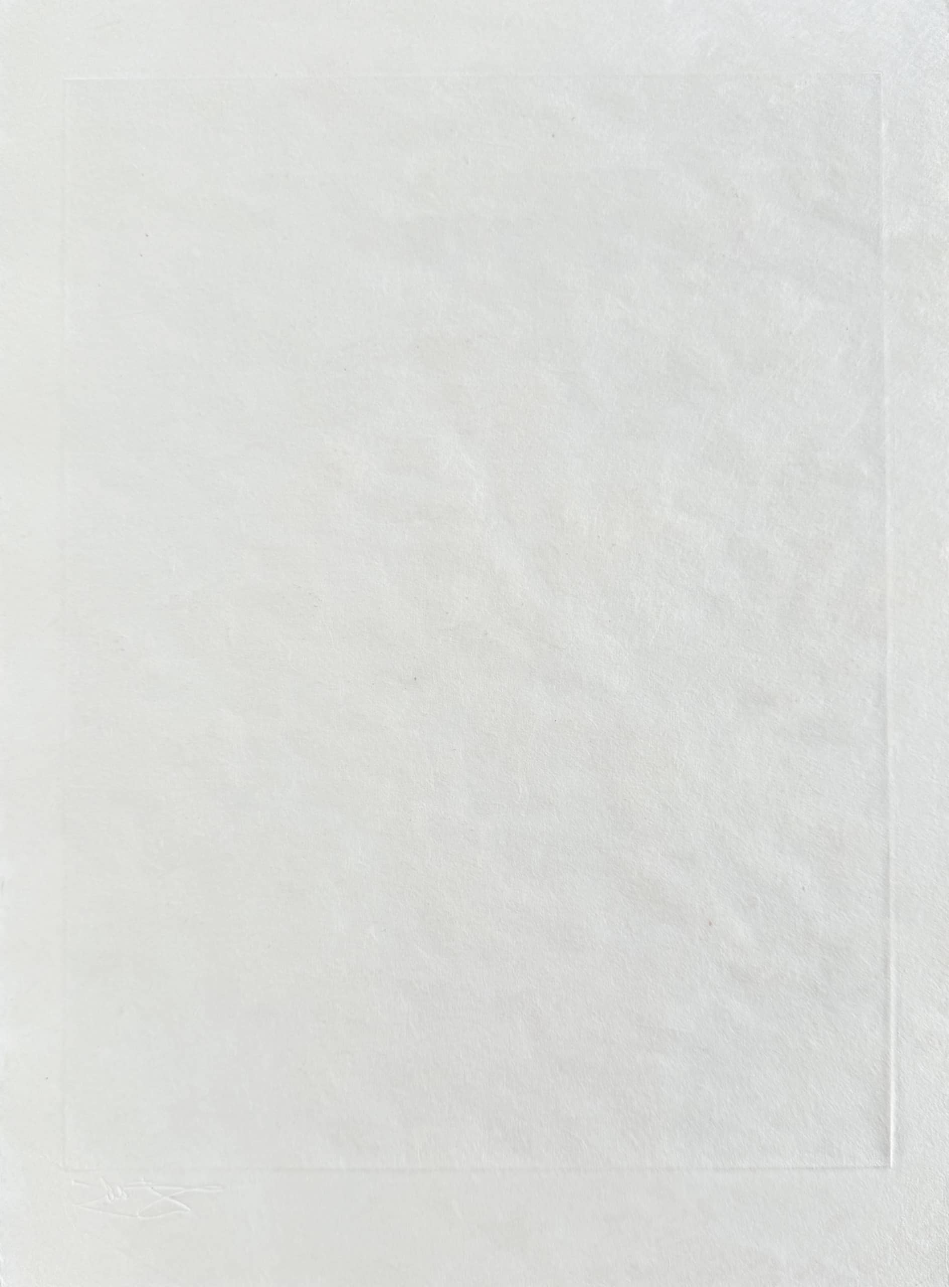 Salvador Dali - Femme à cheval, 1969 - Image 7