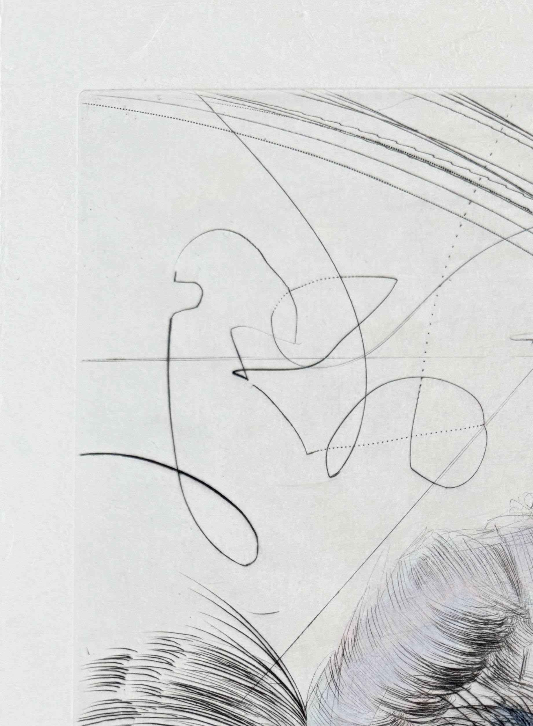 Salvador Dali - Femme à la chaussure, 1969 - Image 2