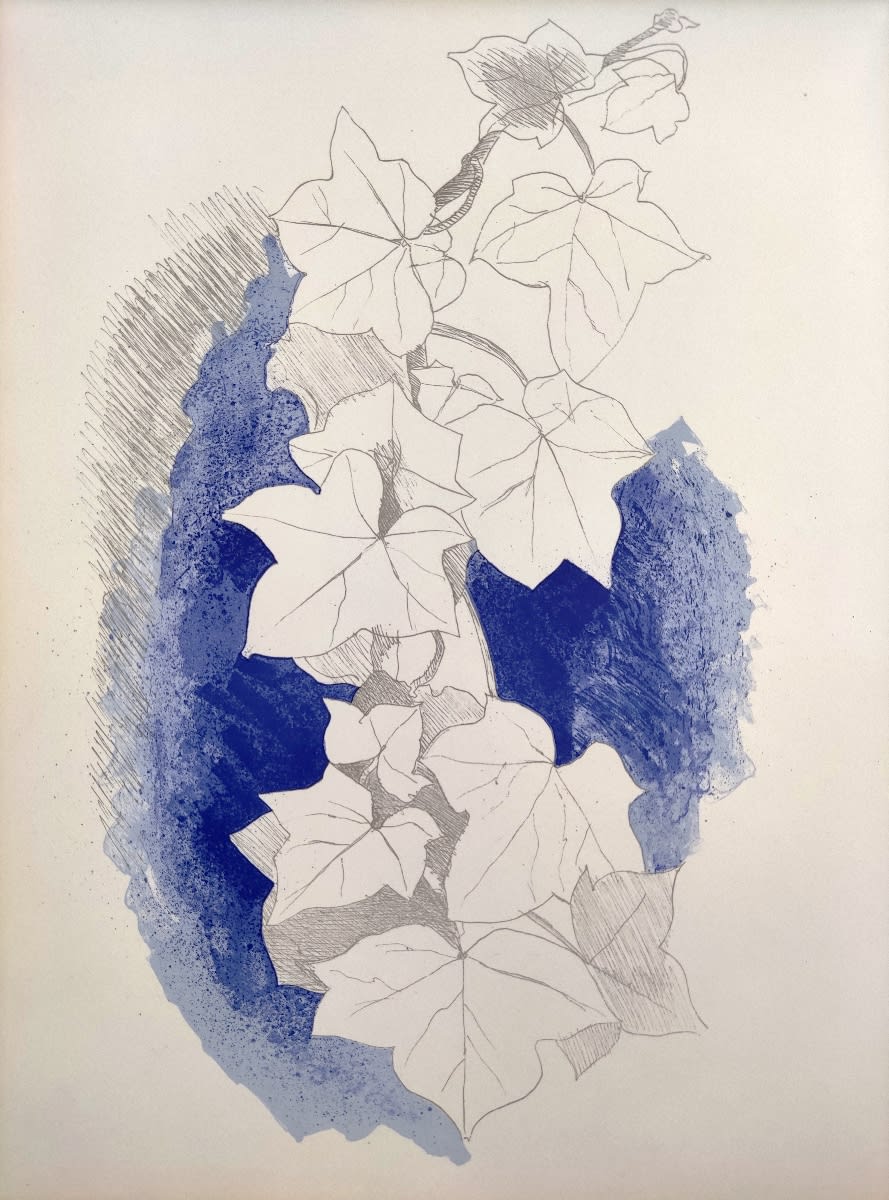 Georges Braque - Carnets intimes de Braque III, 1955