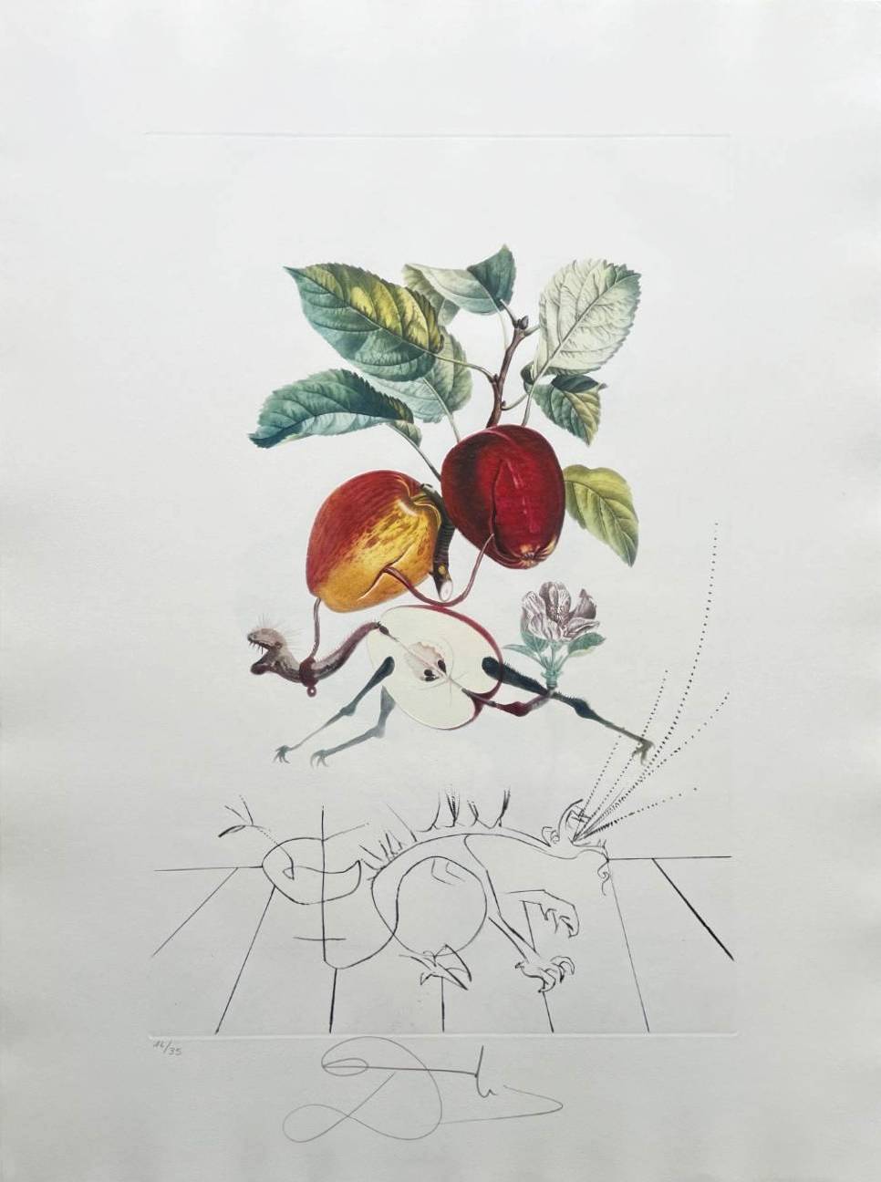 Salvador Dali - Dragon Apple from Flordali suite, 1969